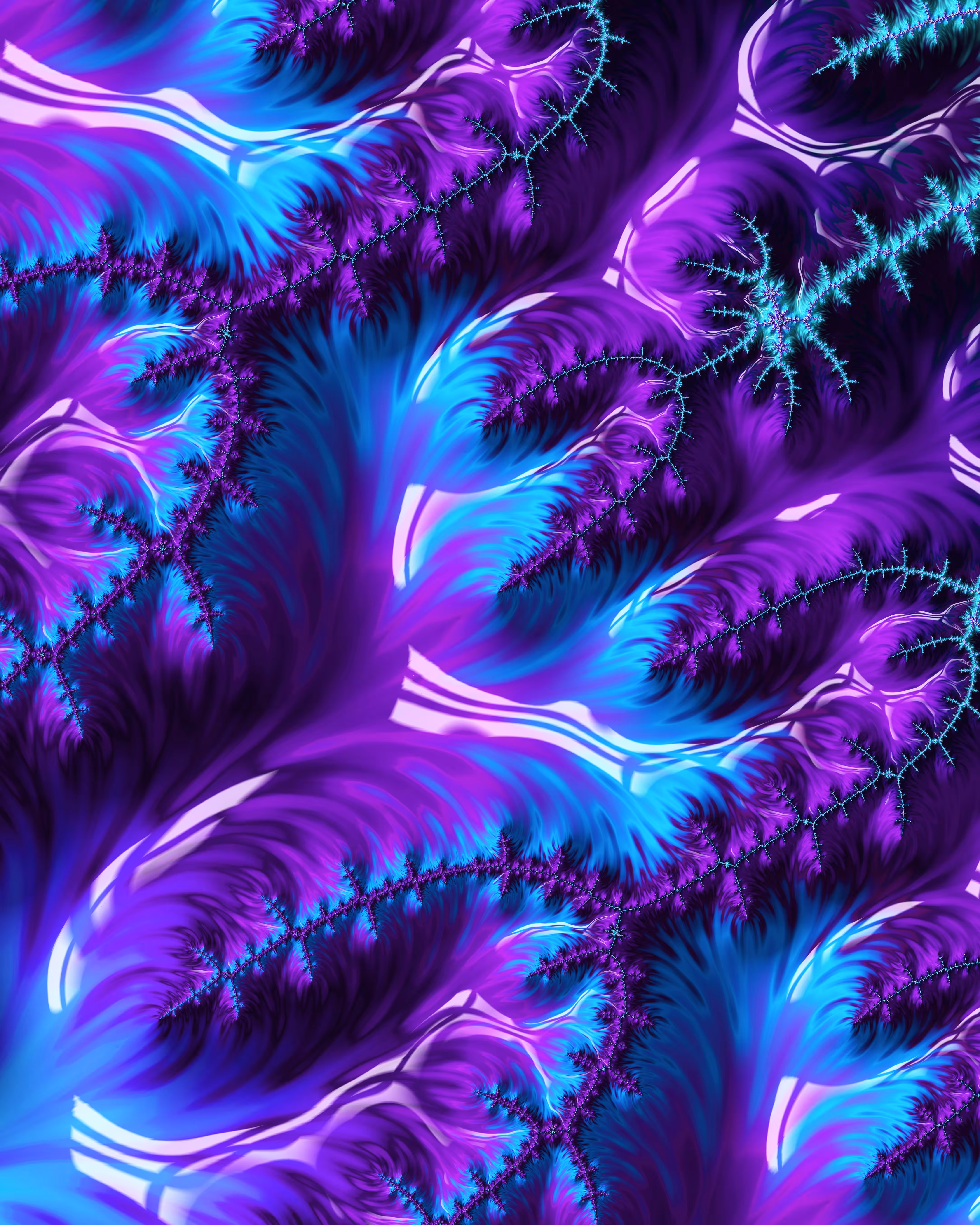 Glazed Corallines: The Corals - Glazed Corallines