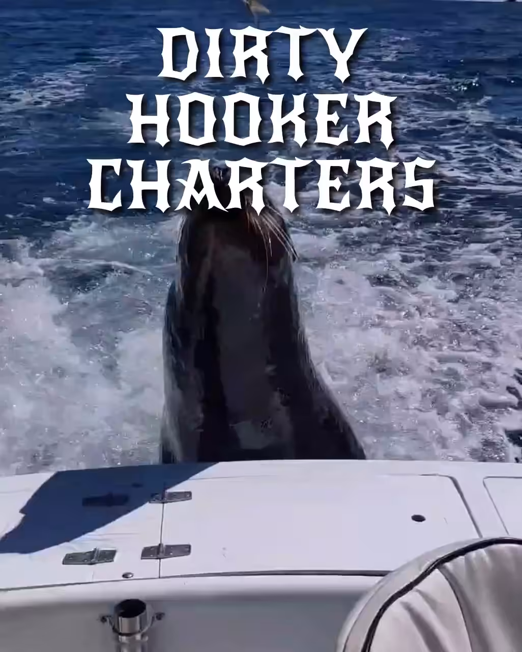 Dirty Hooker Charters
