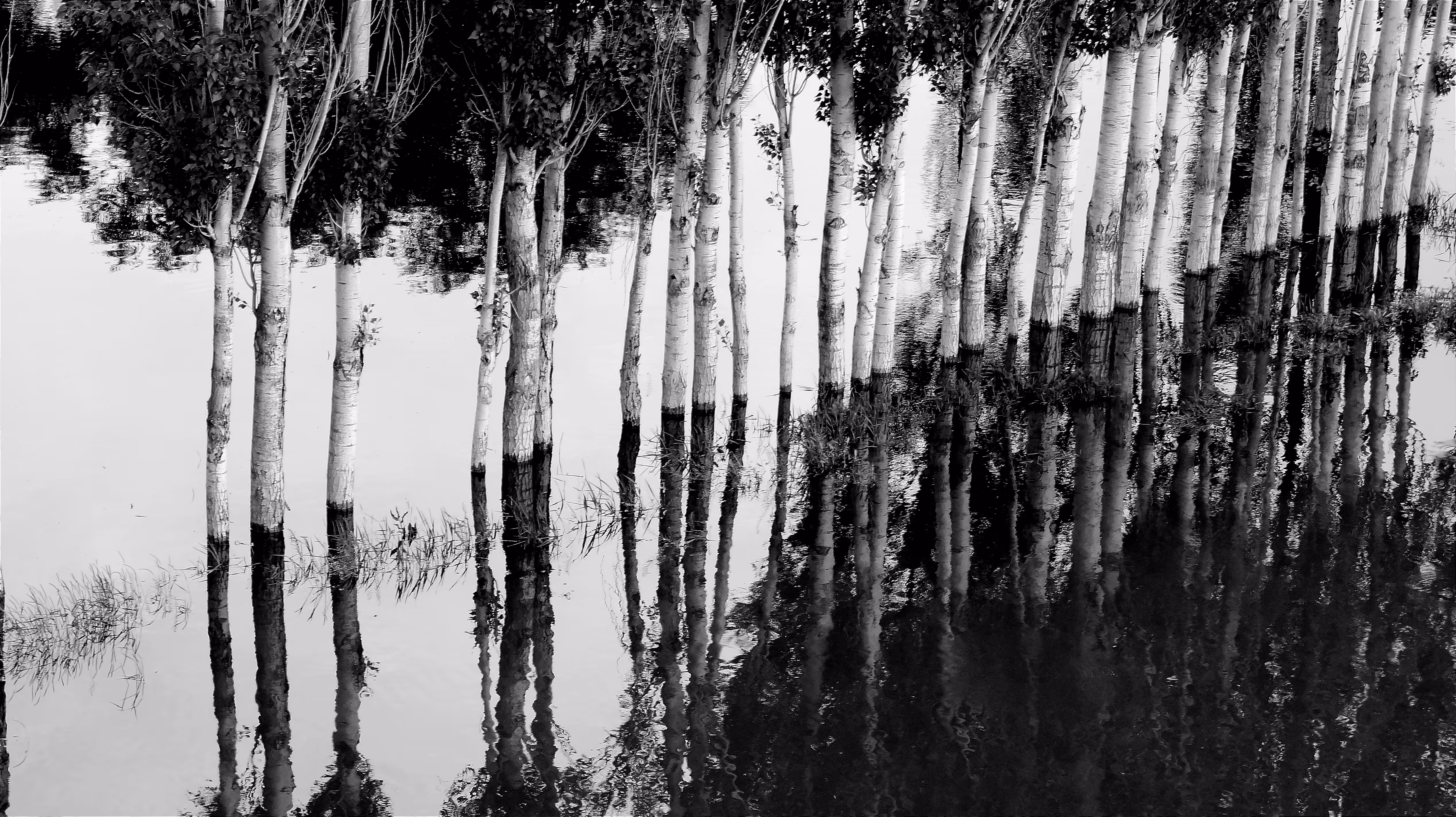 Oil photography