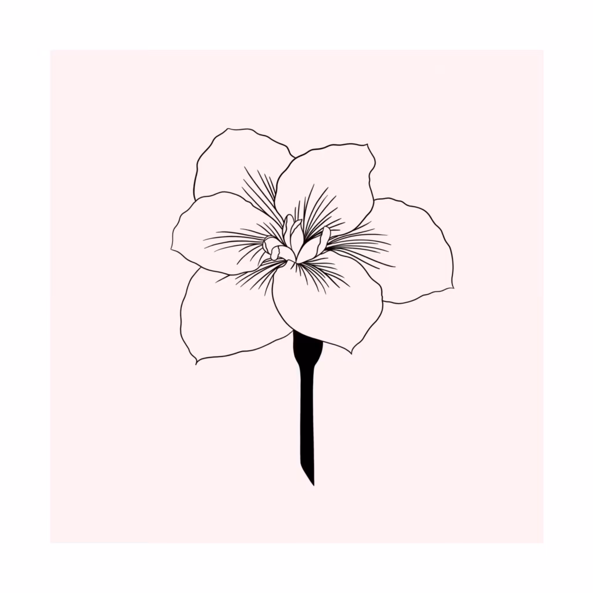 blooming 