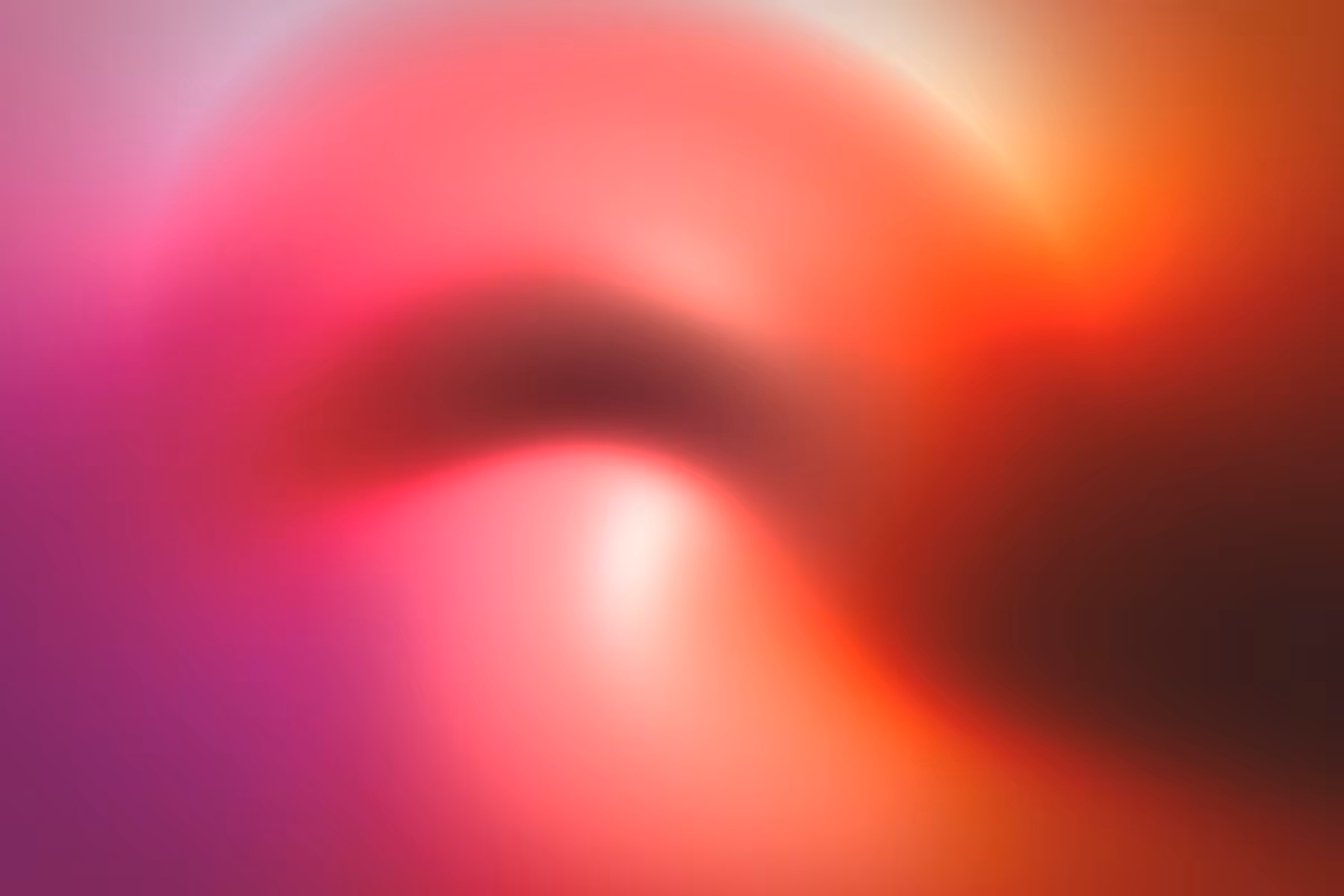 Flux #240
