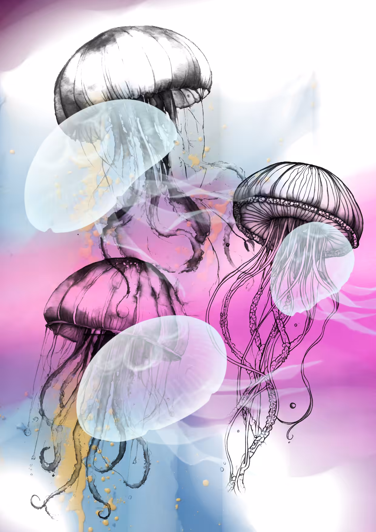 Jelly fish 🩷🩵