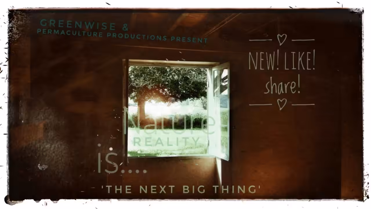 'The Next Big Thing'