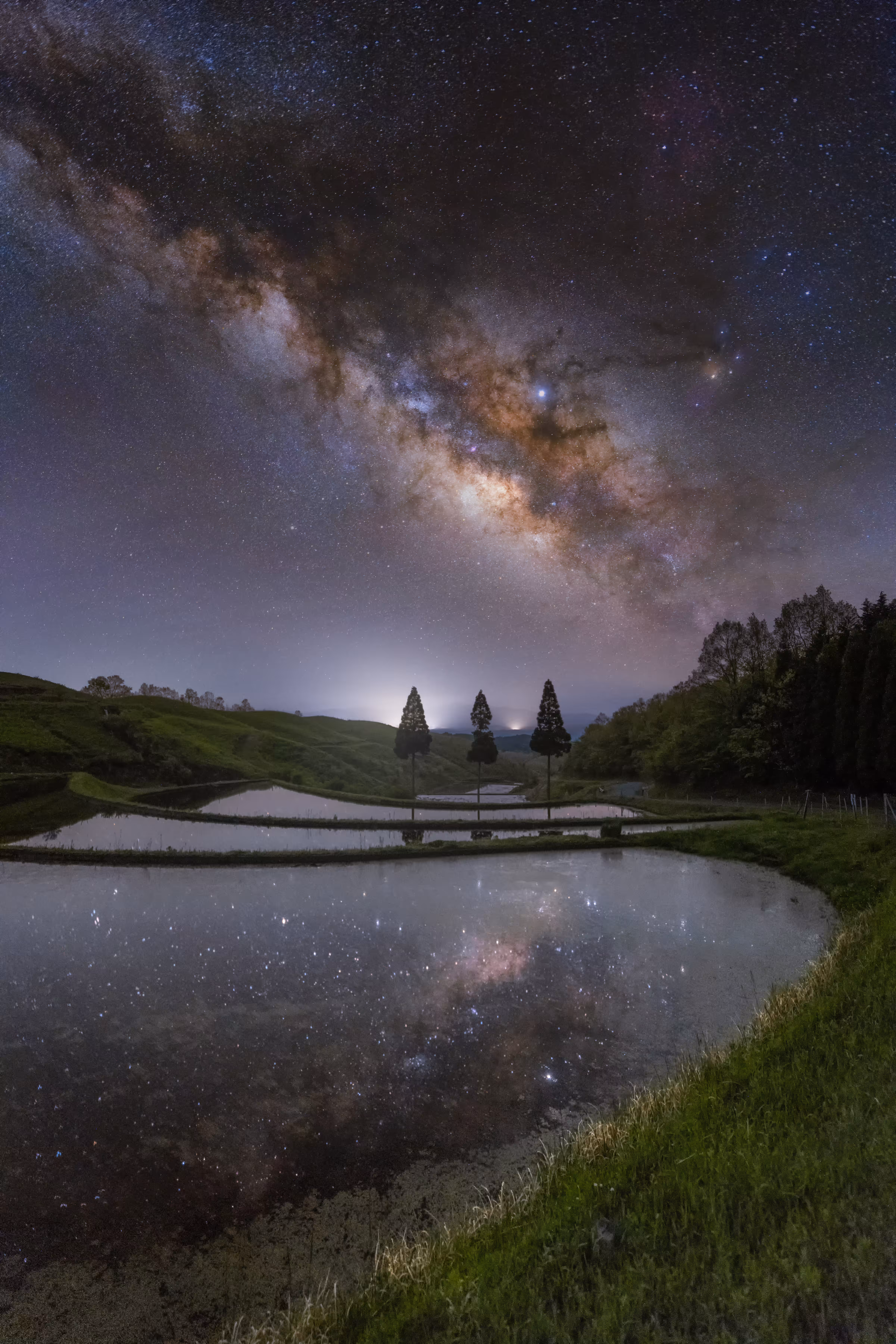 Star Seeds