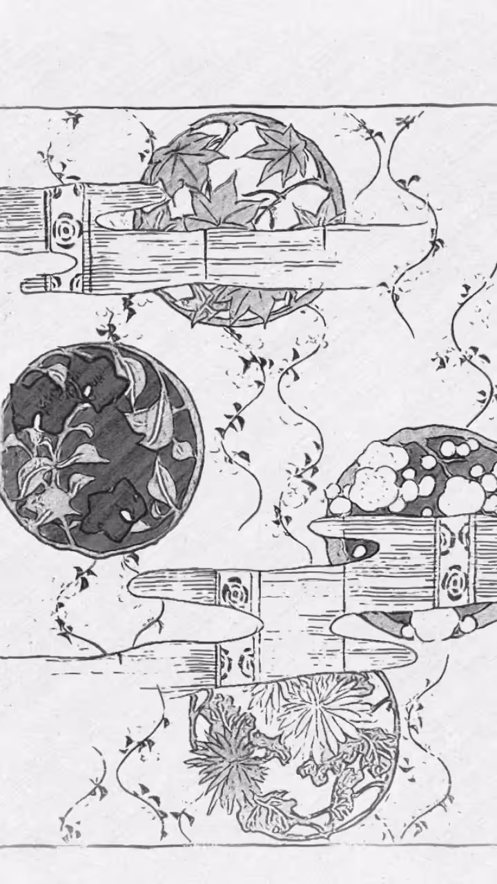 four seasons / four forces
