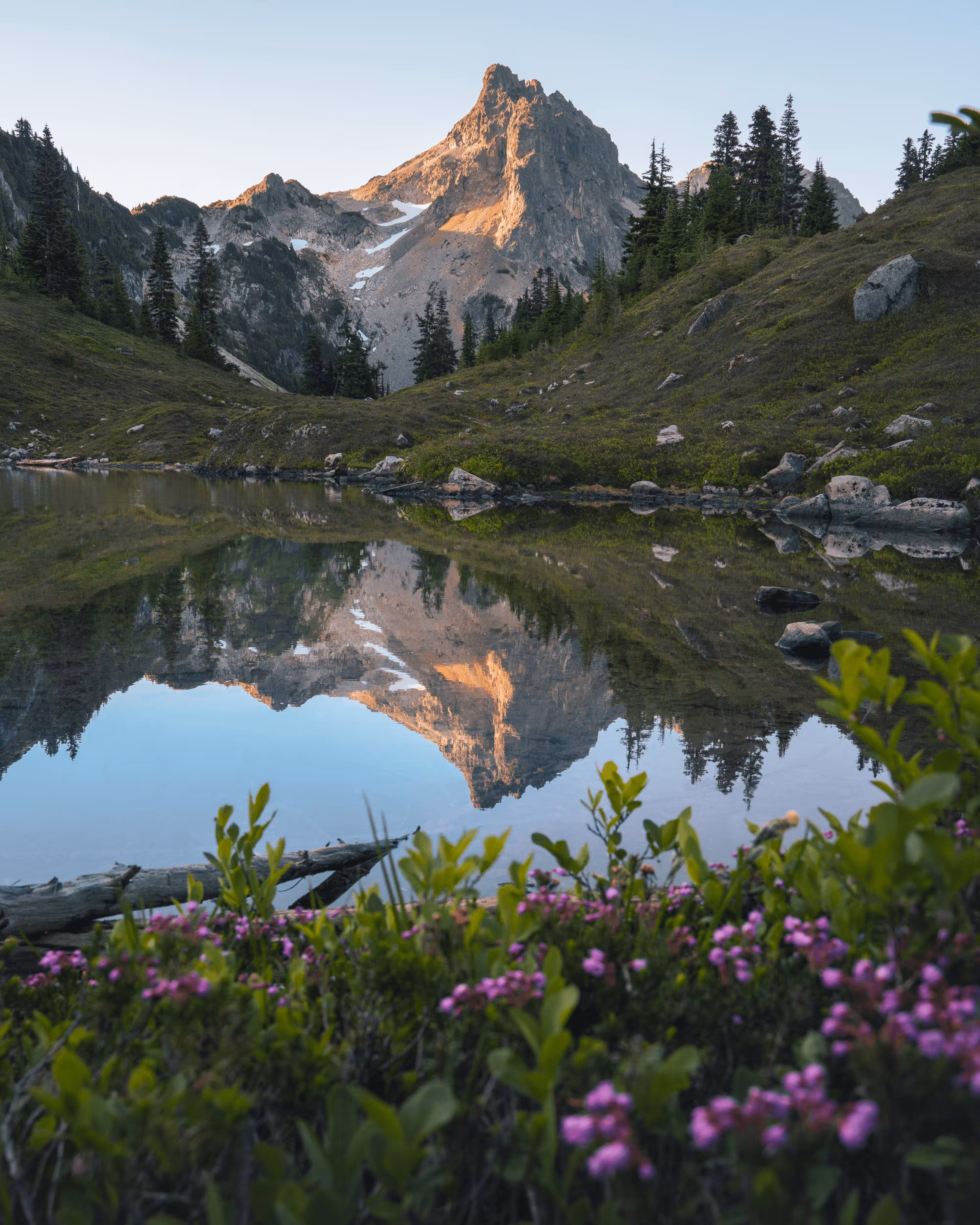 #47 - Morning Reflections