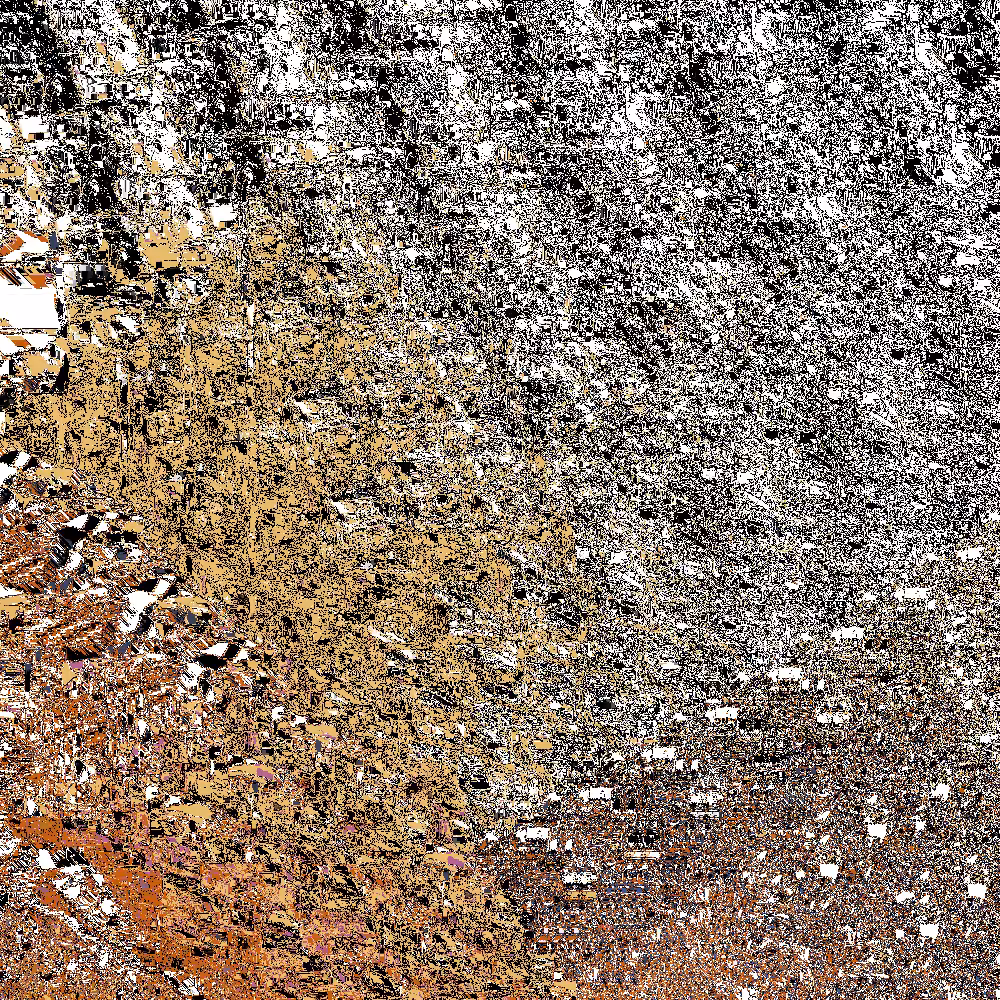 Destruction of a Quail 08 - Detail 5