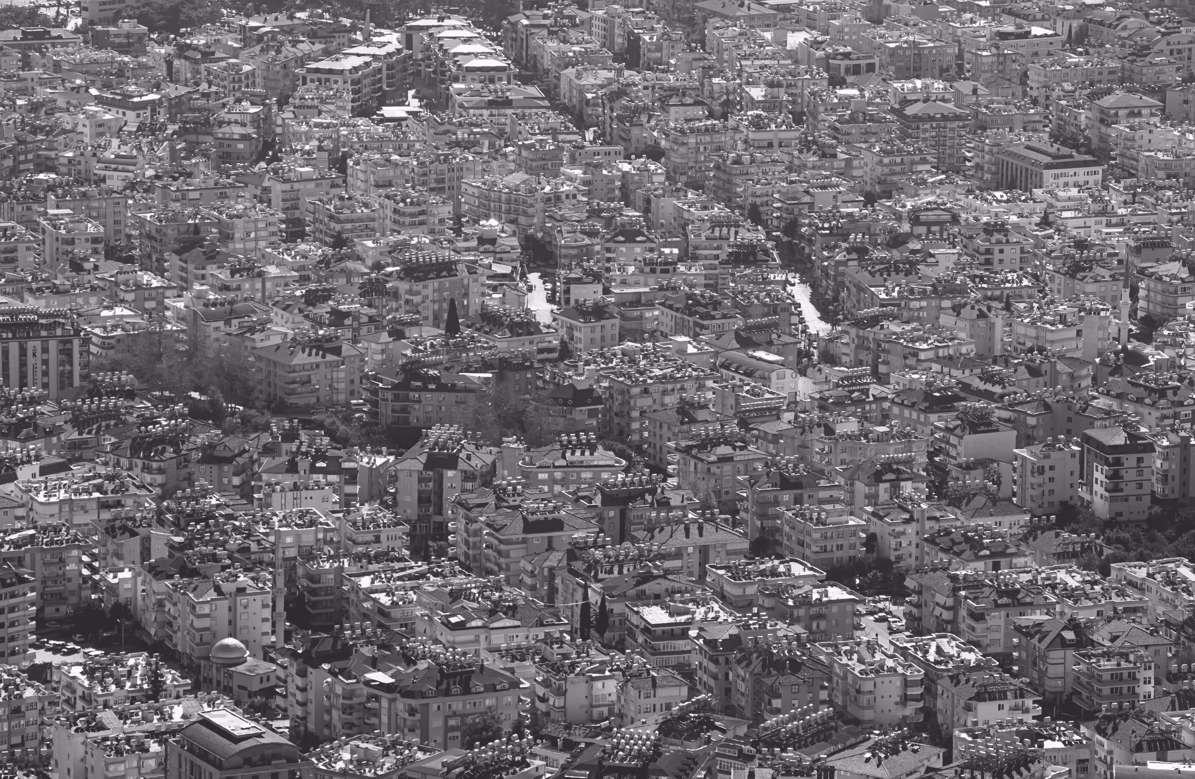 View #11