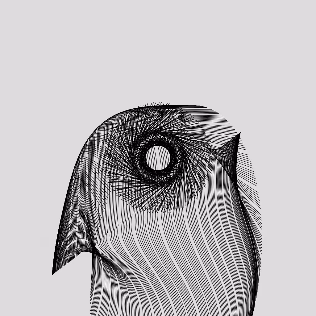 ANATOMY of a rabbit but bird #29