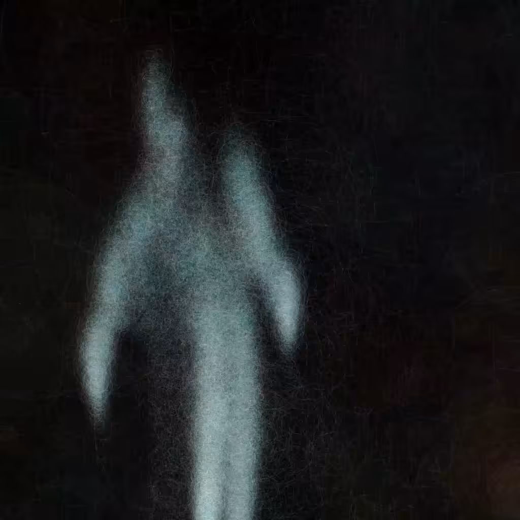Phantoms: Phantom 113
