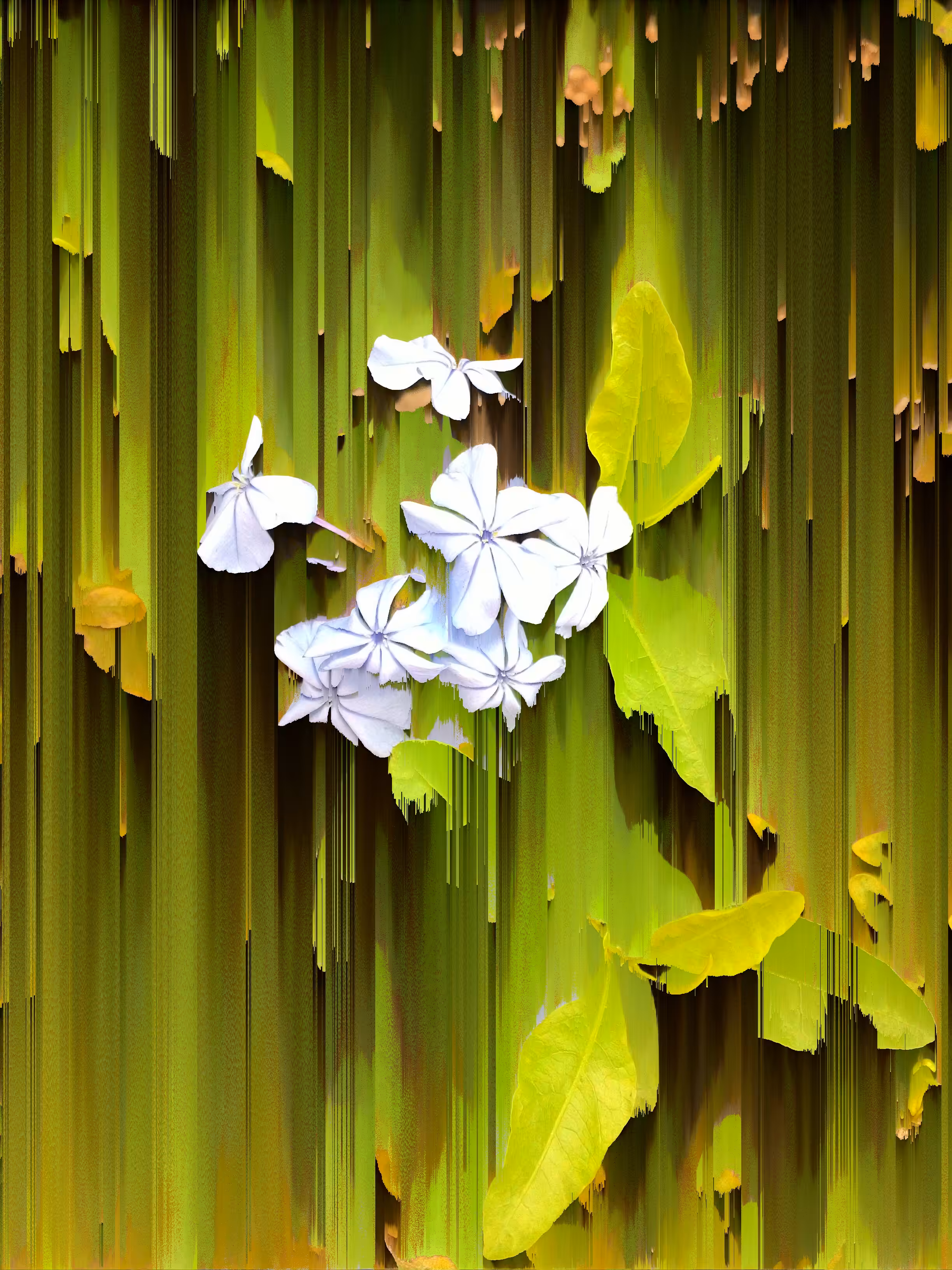 falling flowers
