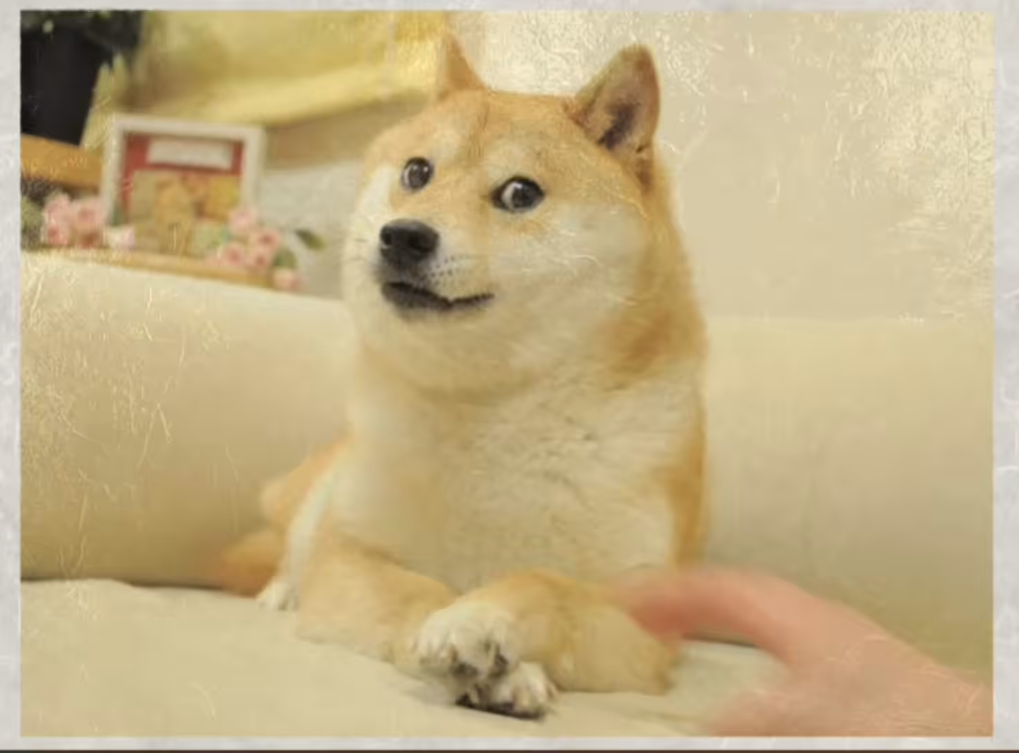Free Market Achievements:Million Wet Dog