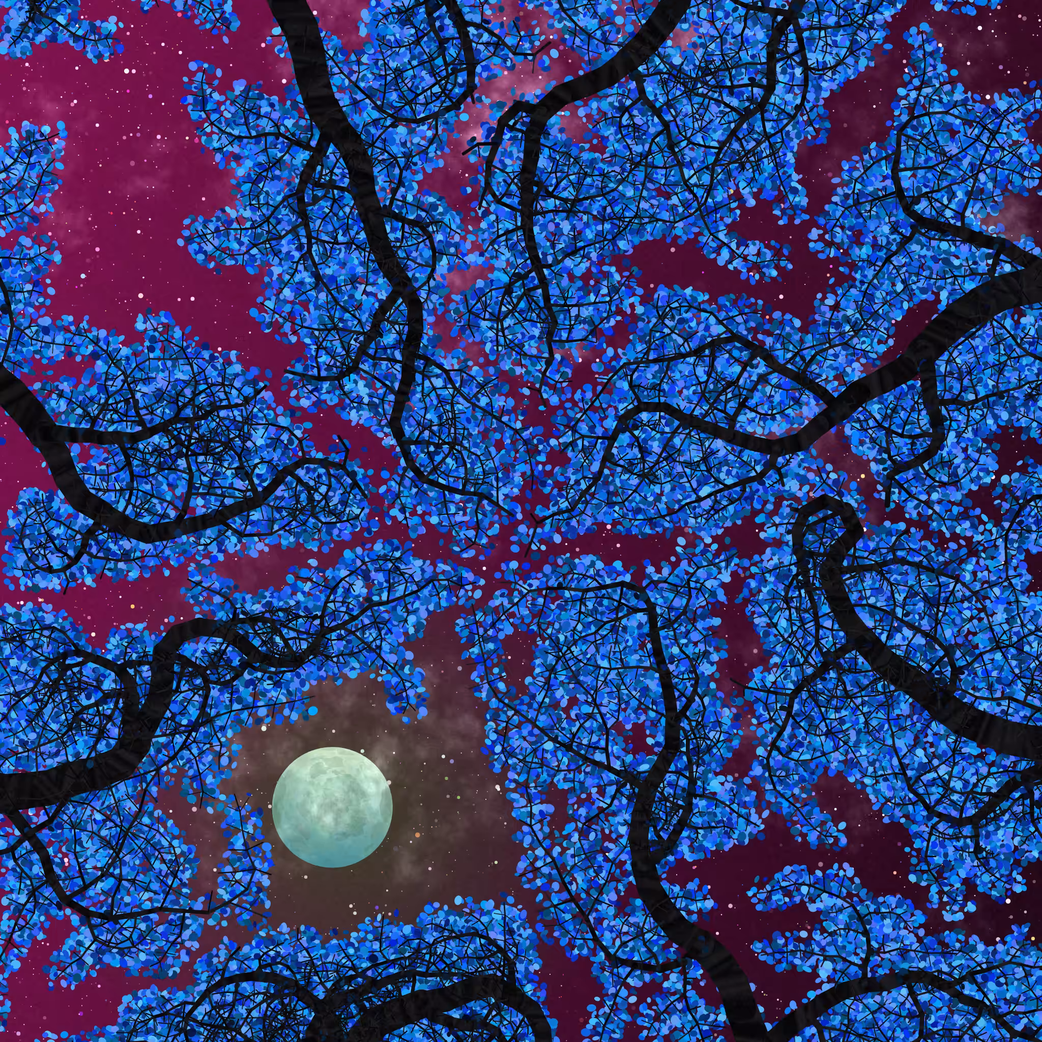Tree Skyness #187