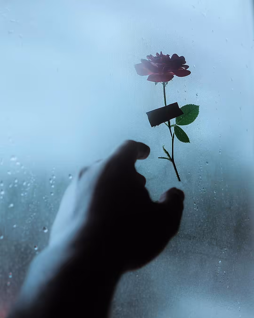 Saudade