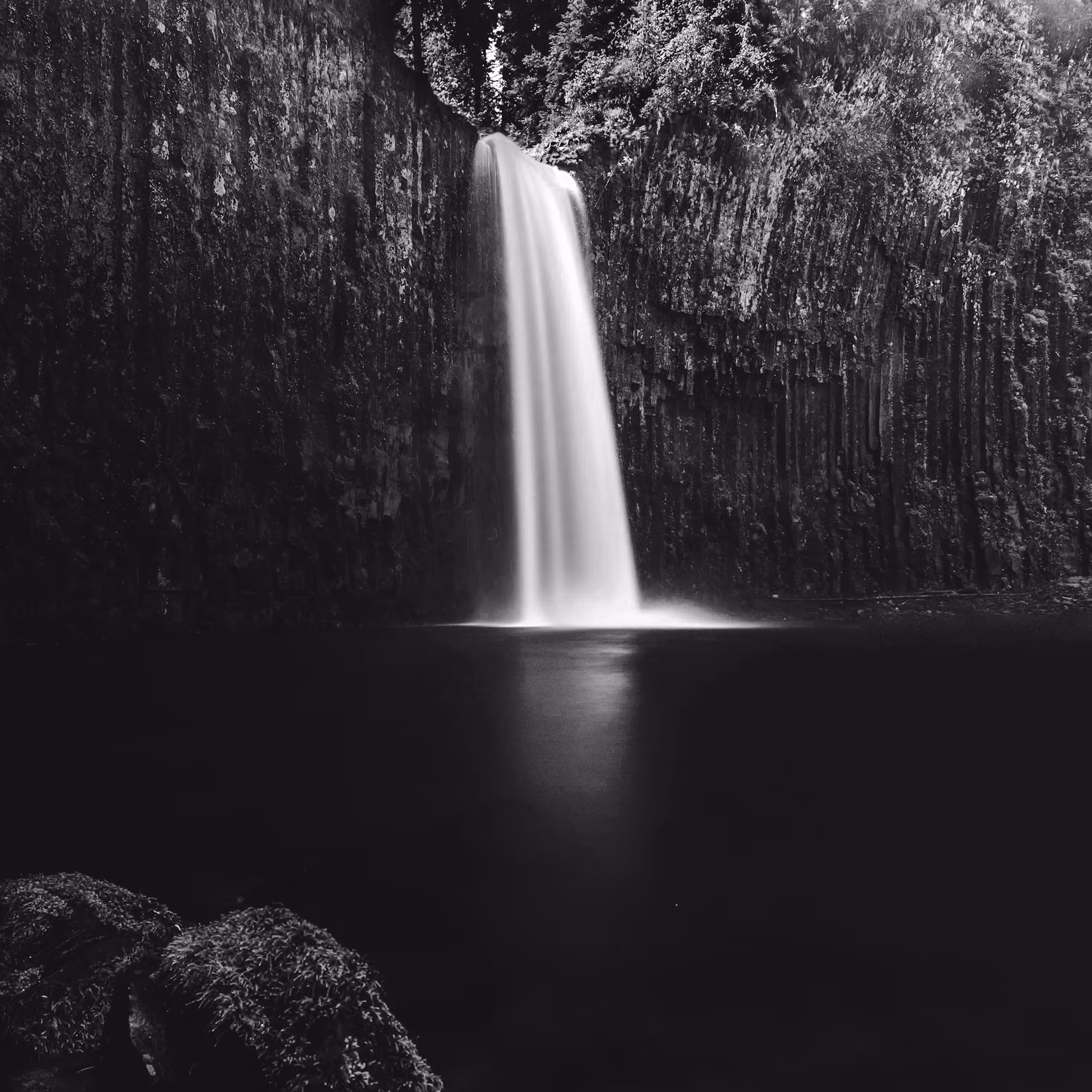 Abiqua en Noir