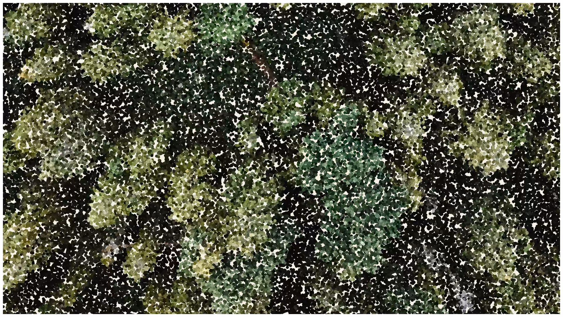 Pointillism #282