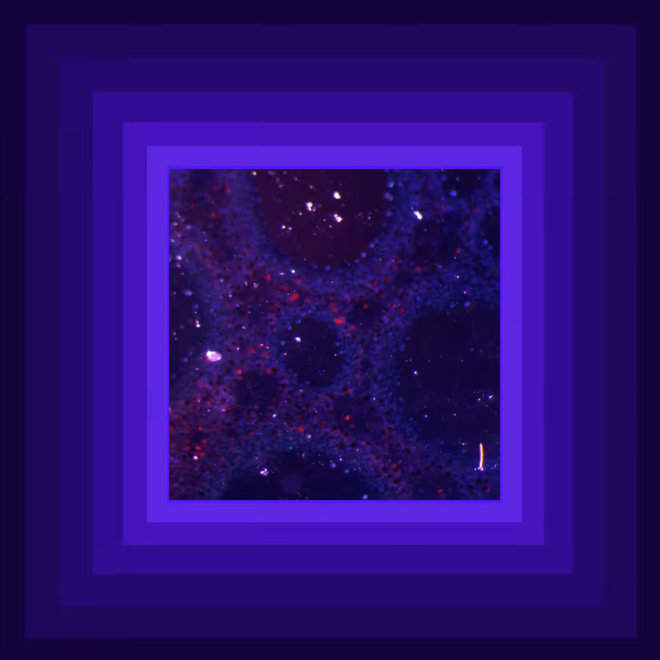 Under the Surface
