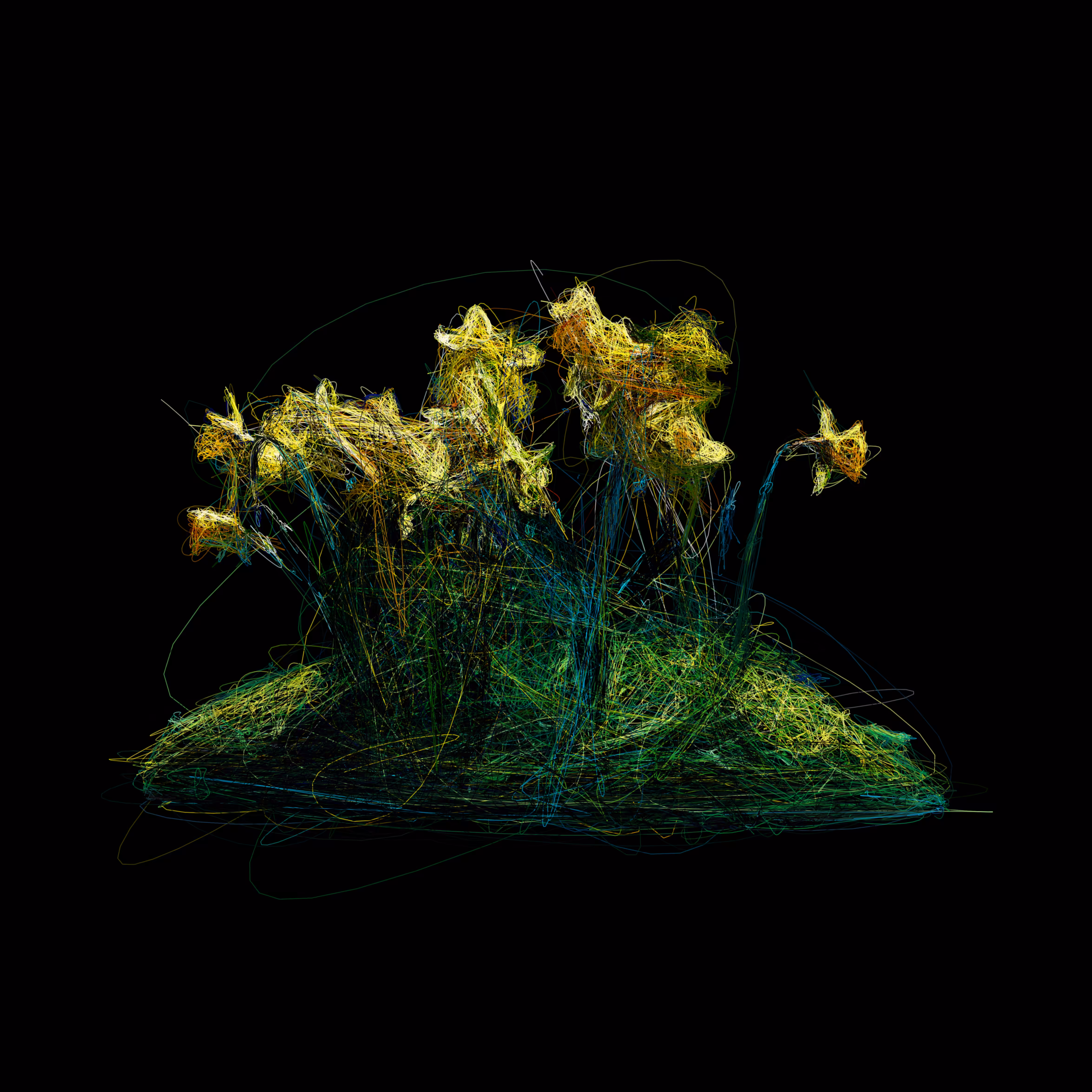 A Small Patch of Grass with Daffodils