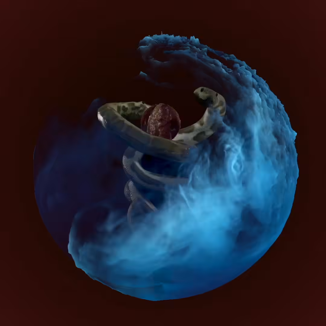 Well Cared Fleshy Bubble