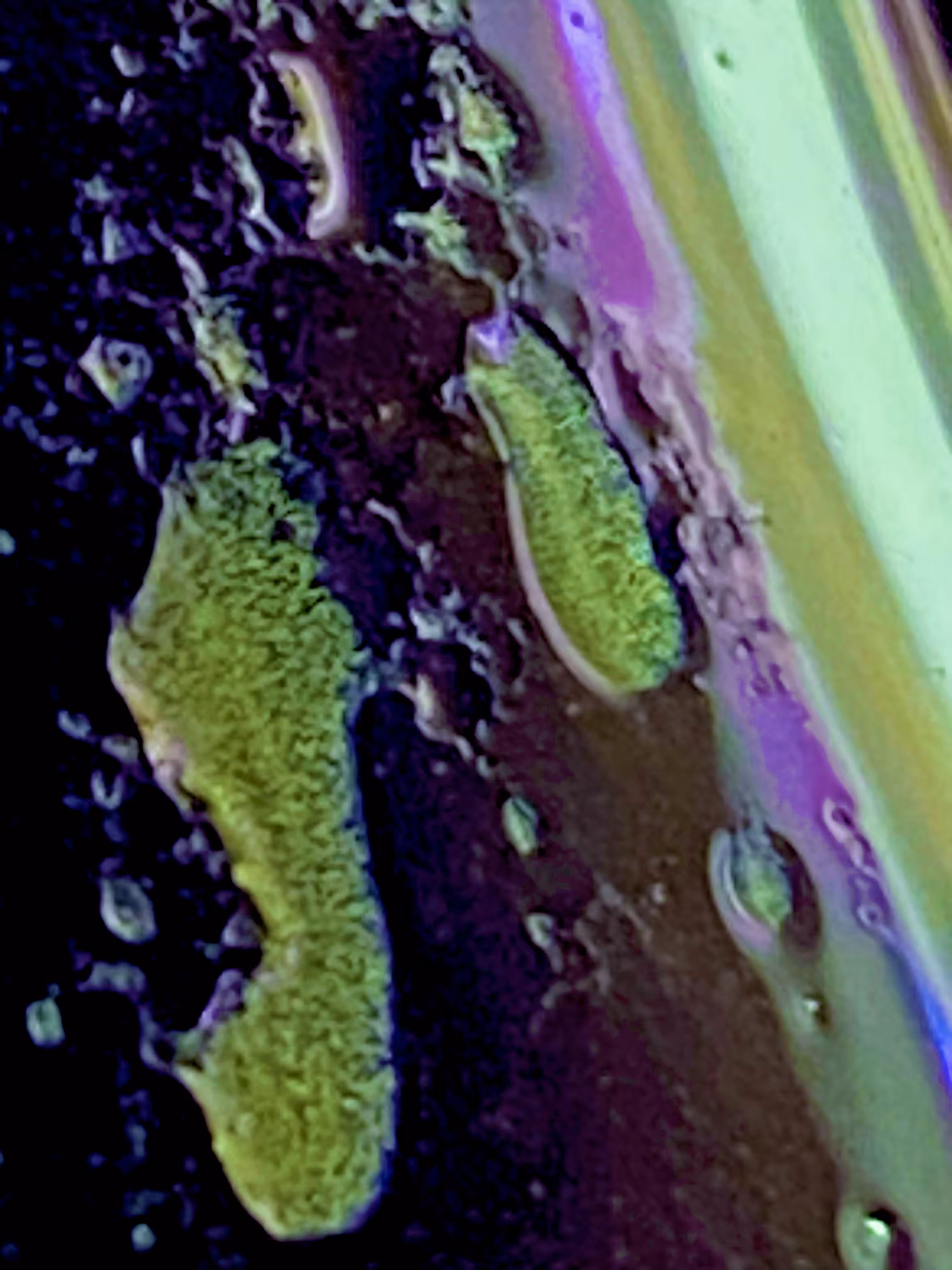 Faces in the Astral Planes