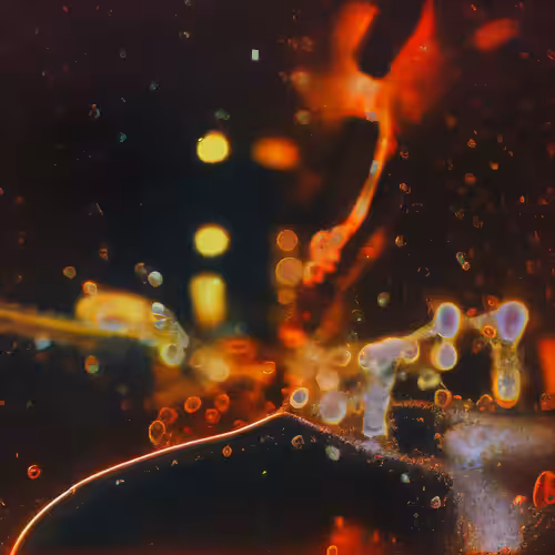 Molecular Atlas #53