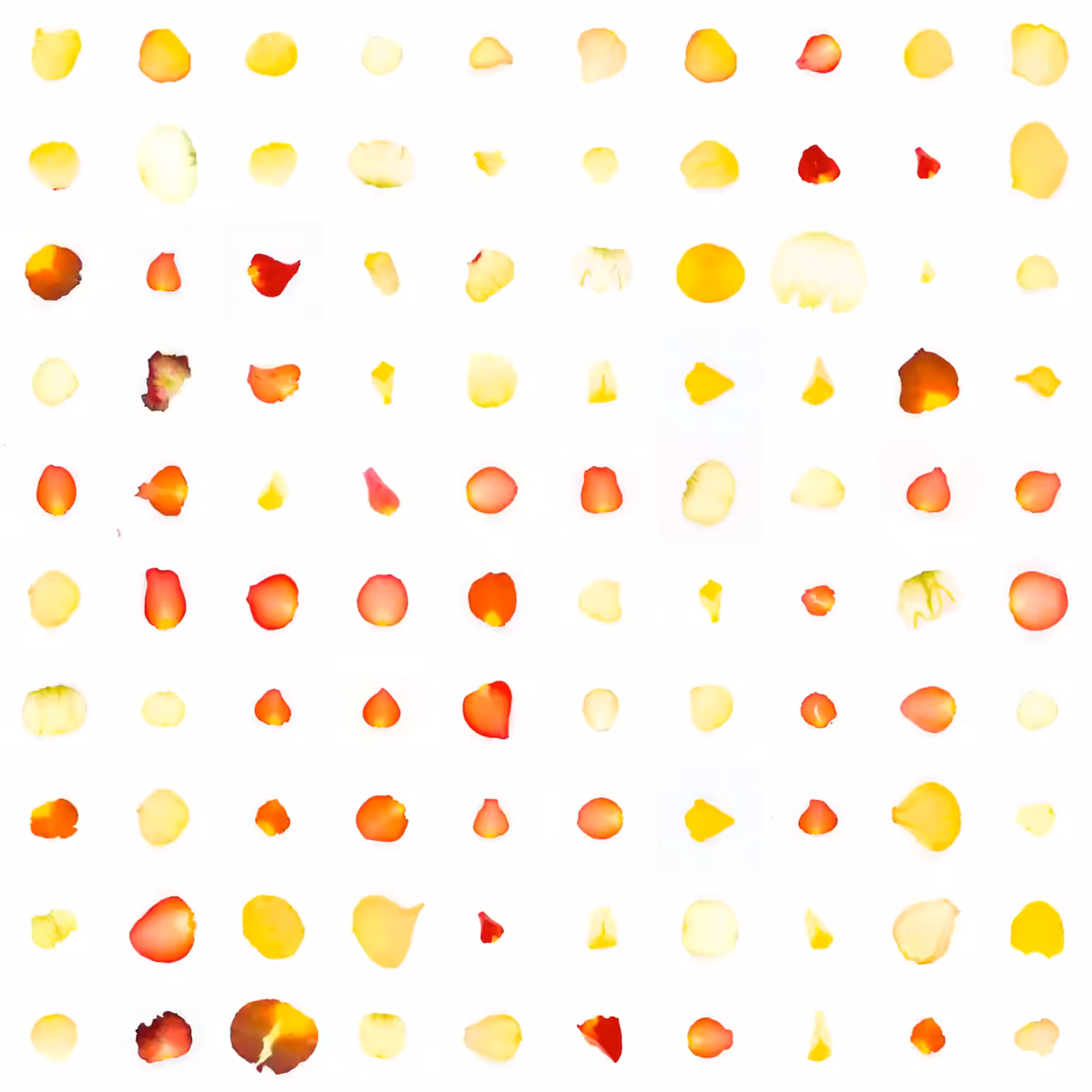 Infinite Petals 10x10#1864