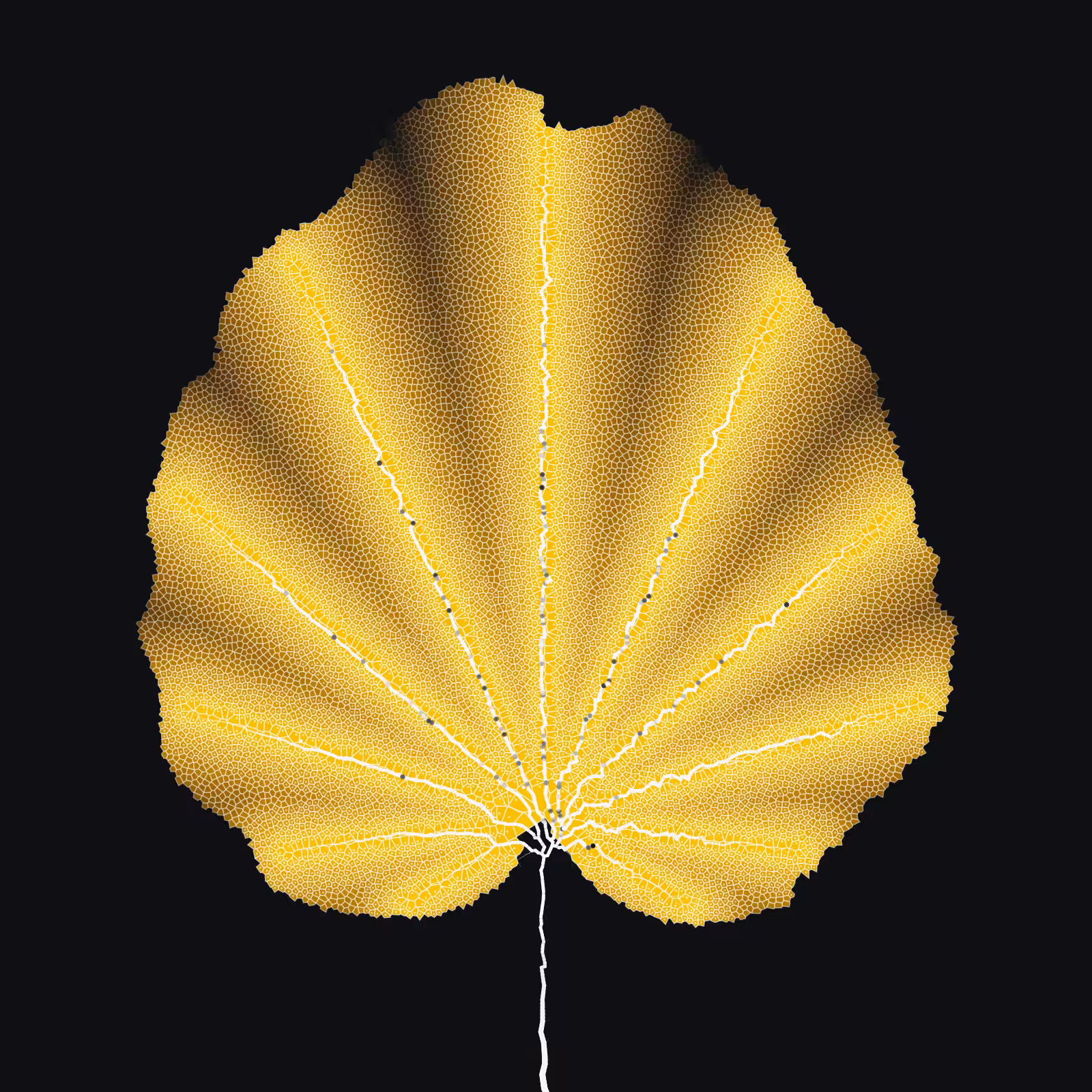 Leaf study #61