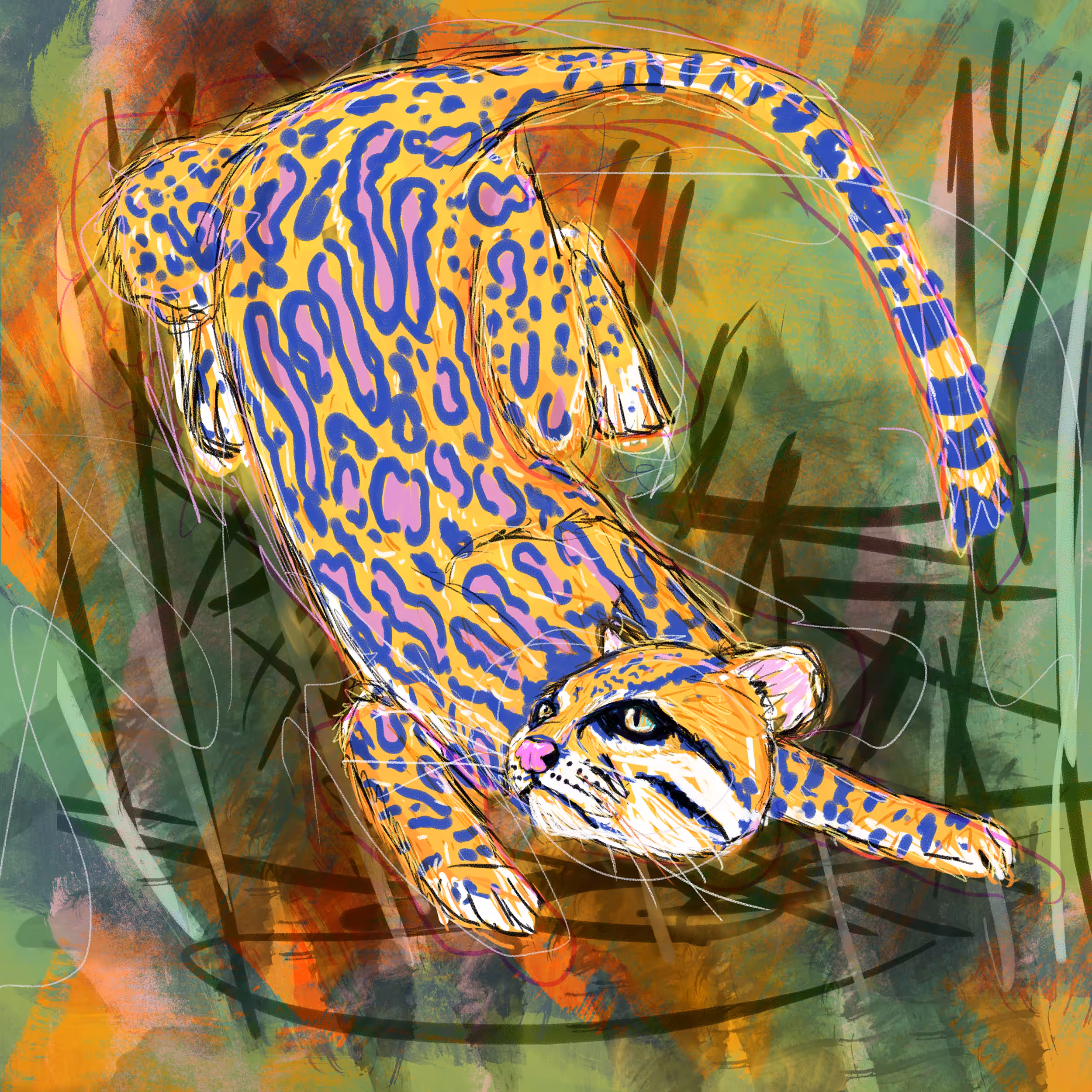 Ocelote