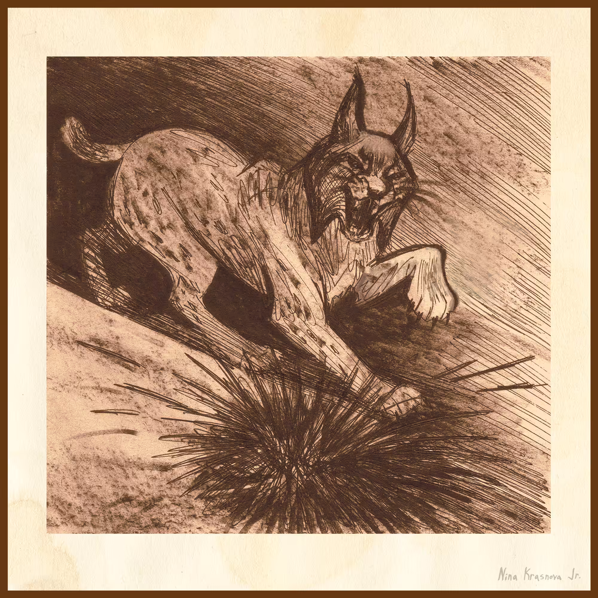 Lynx