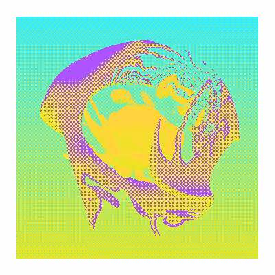 milkdrop #250