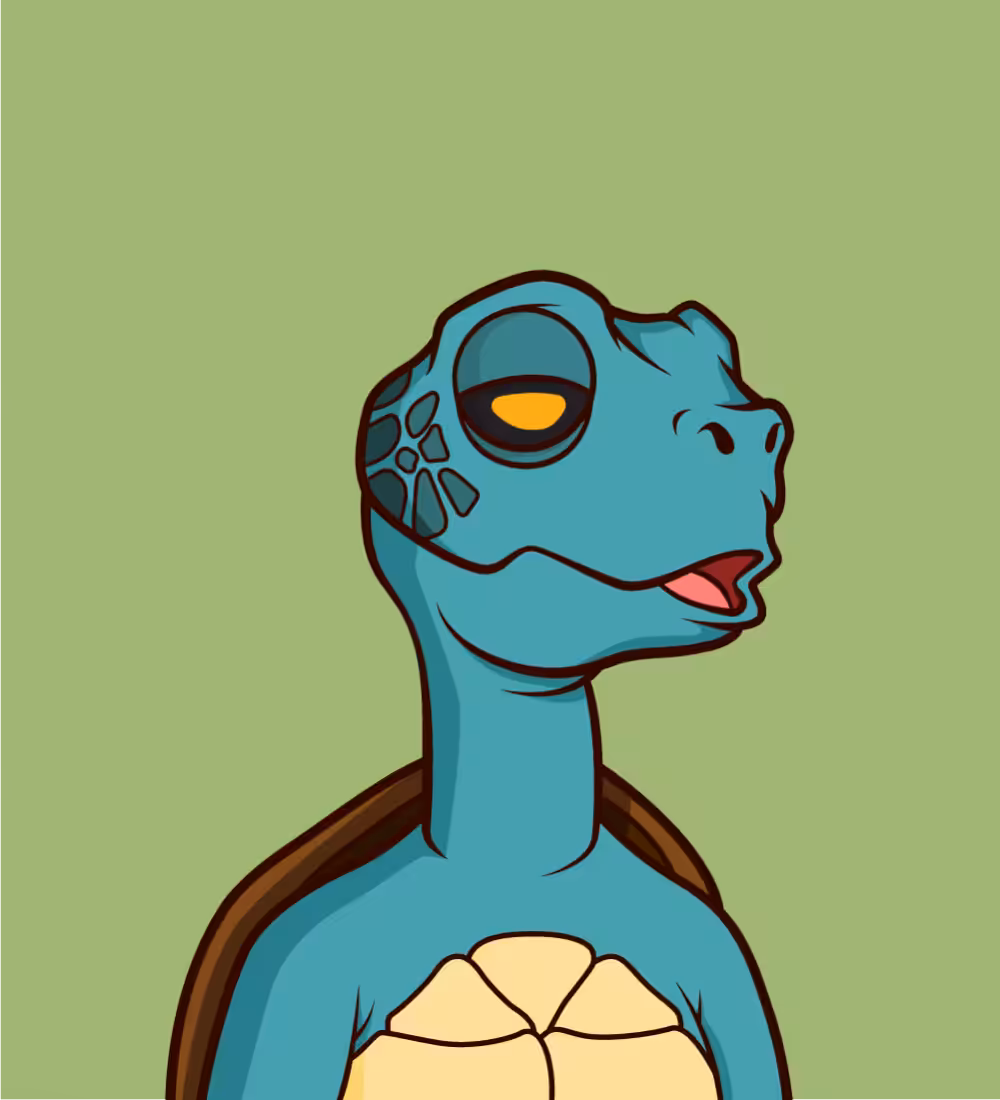 Tiny Turtle 148