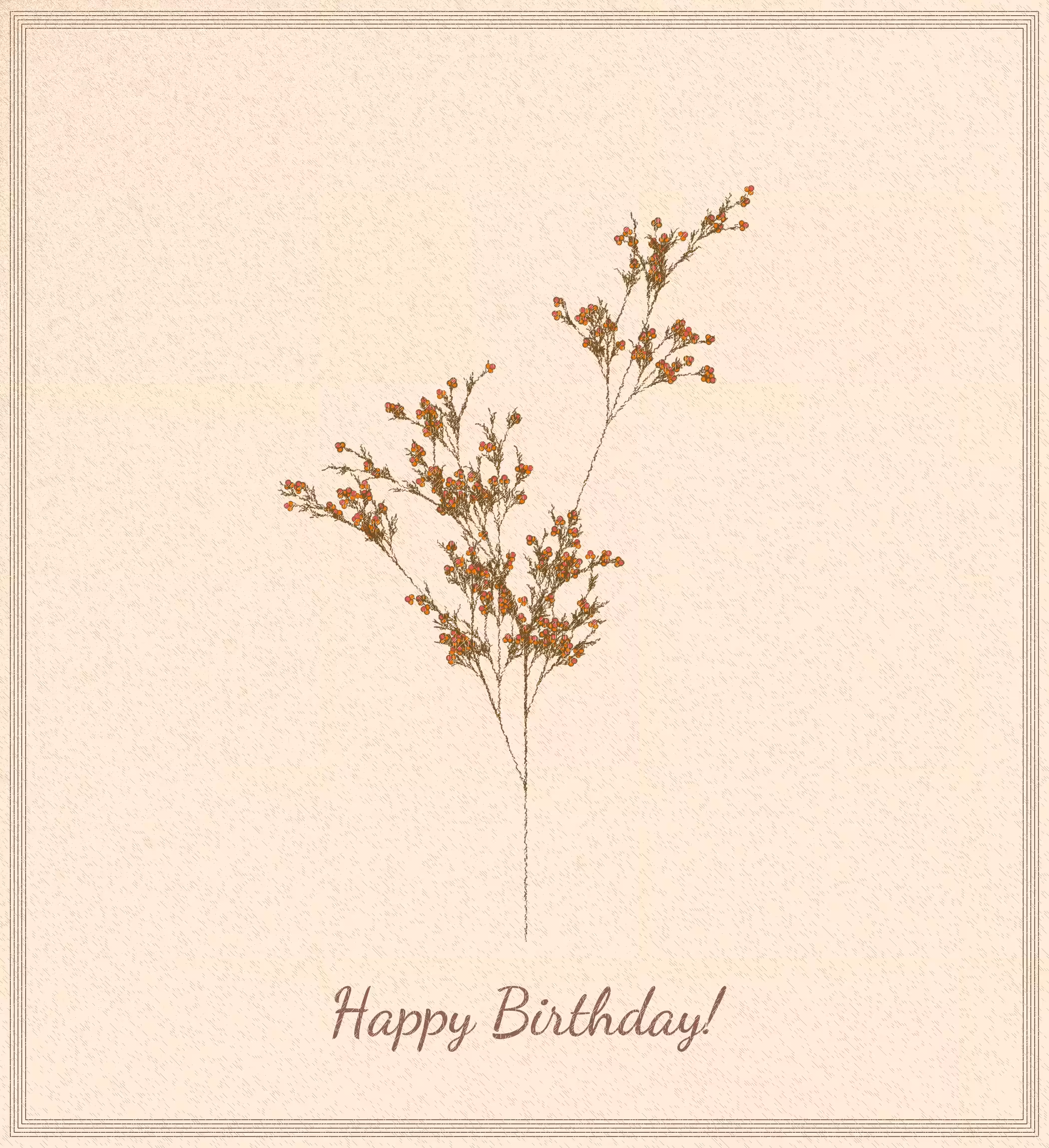 birthday cards #41