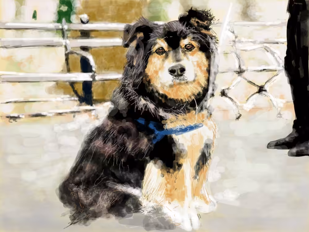 Suki