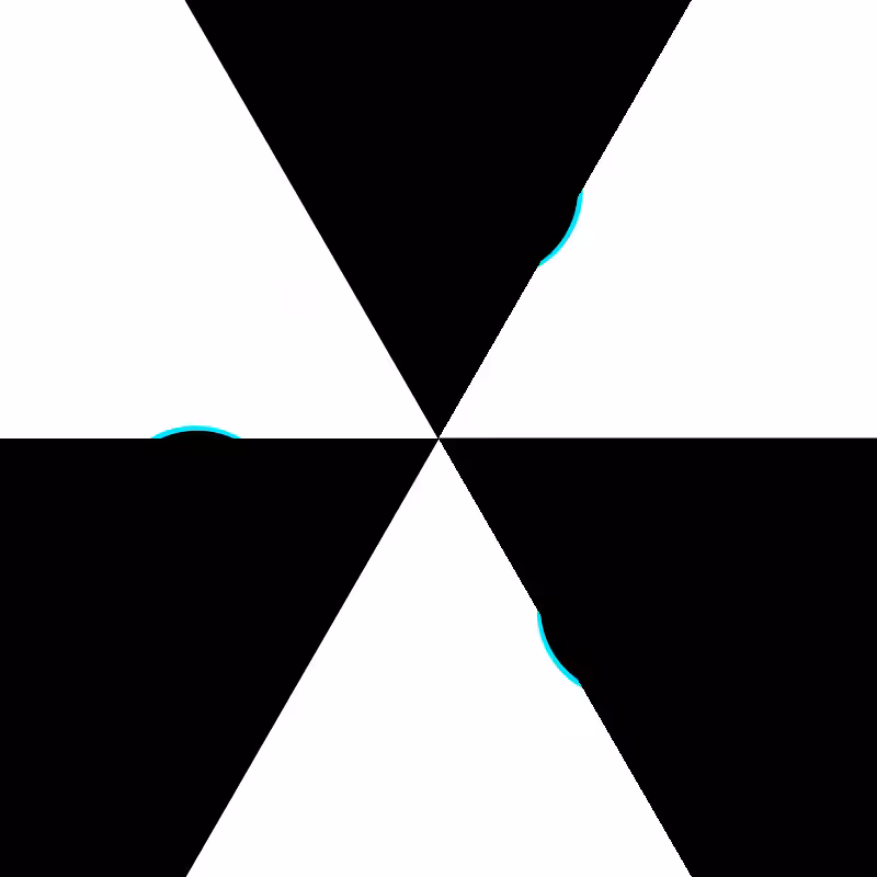 Duality #1