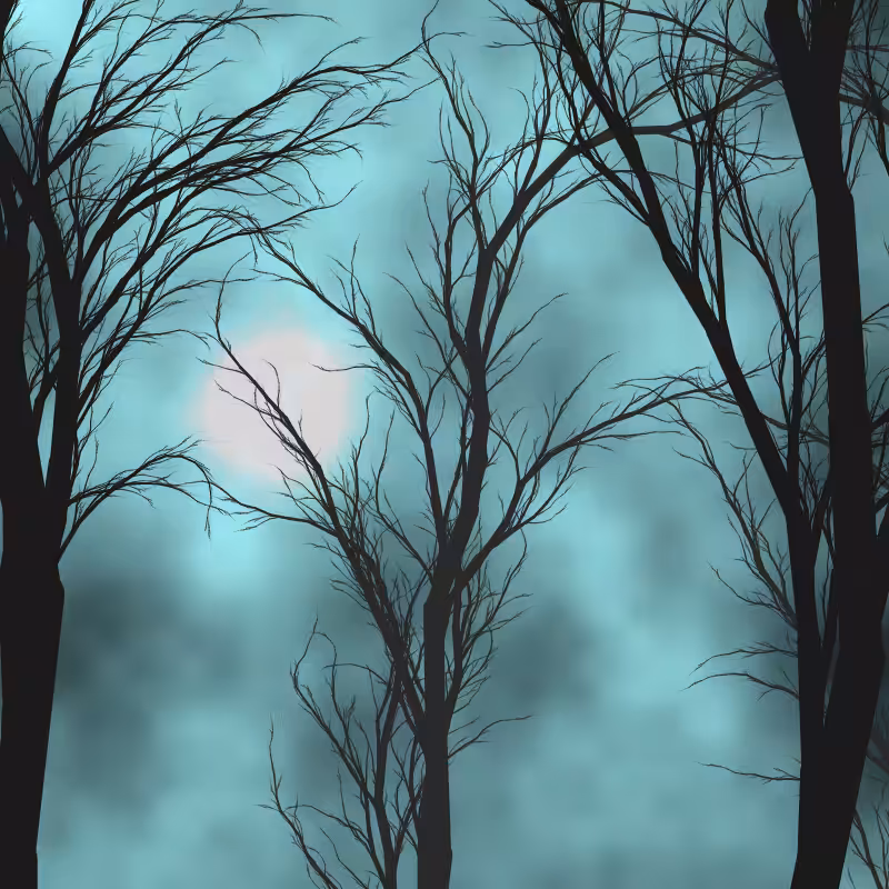 Through the night #41