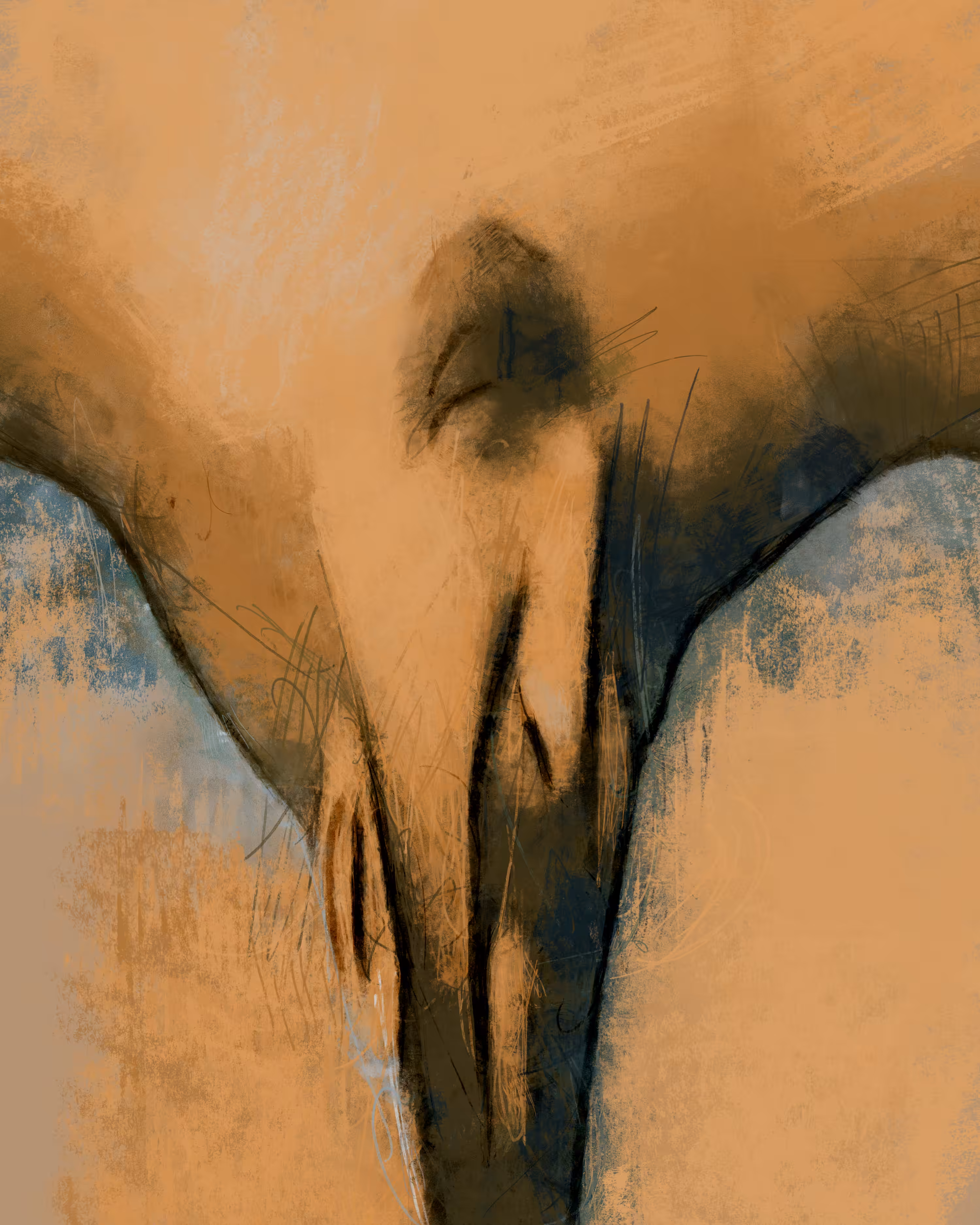 Push & Pull: Expand Your Mind