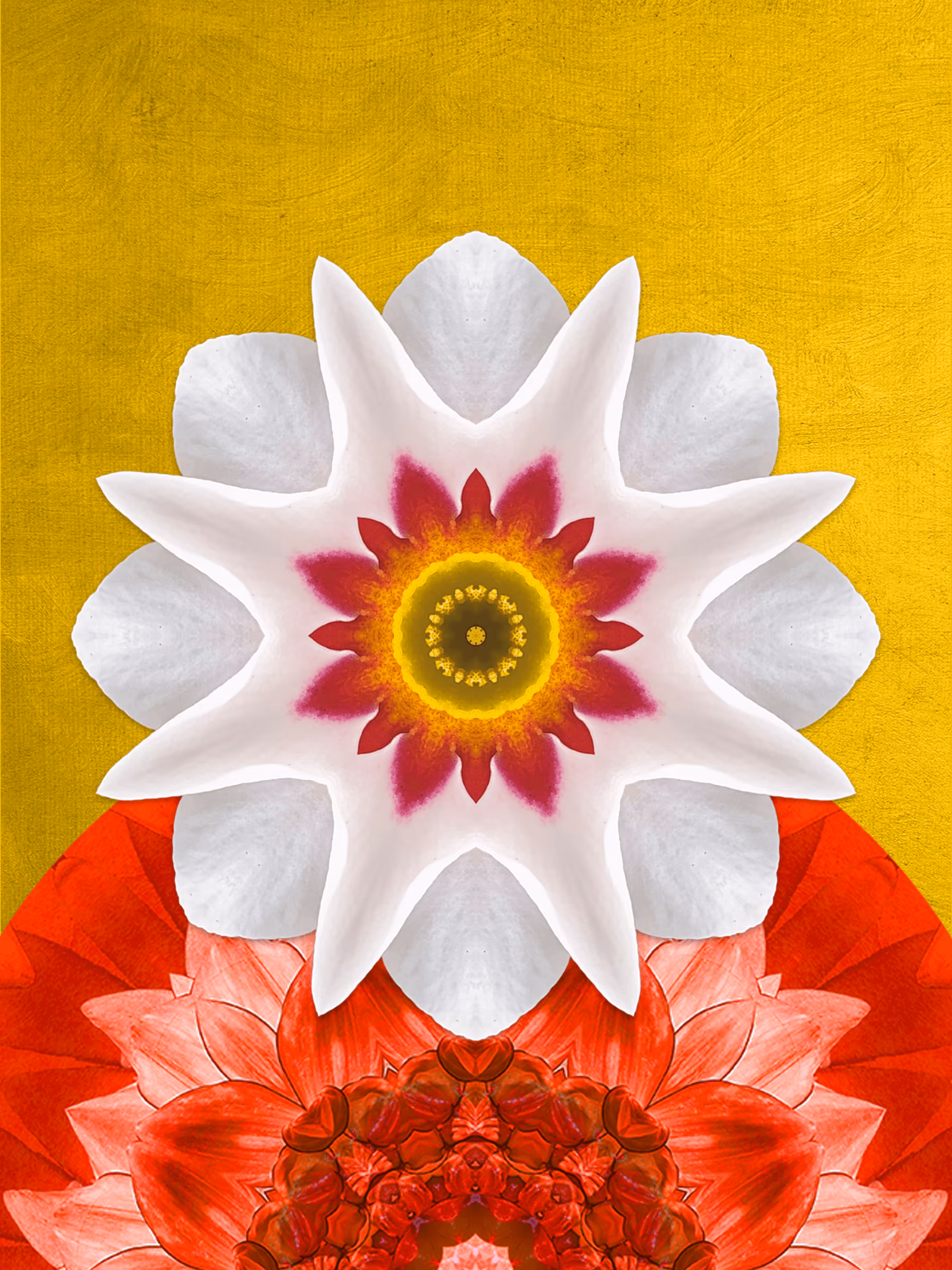 Primary Nature 011