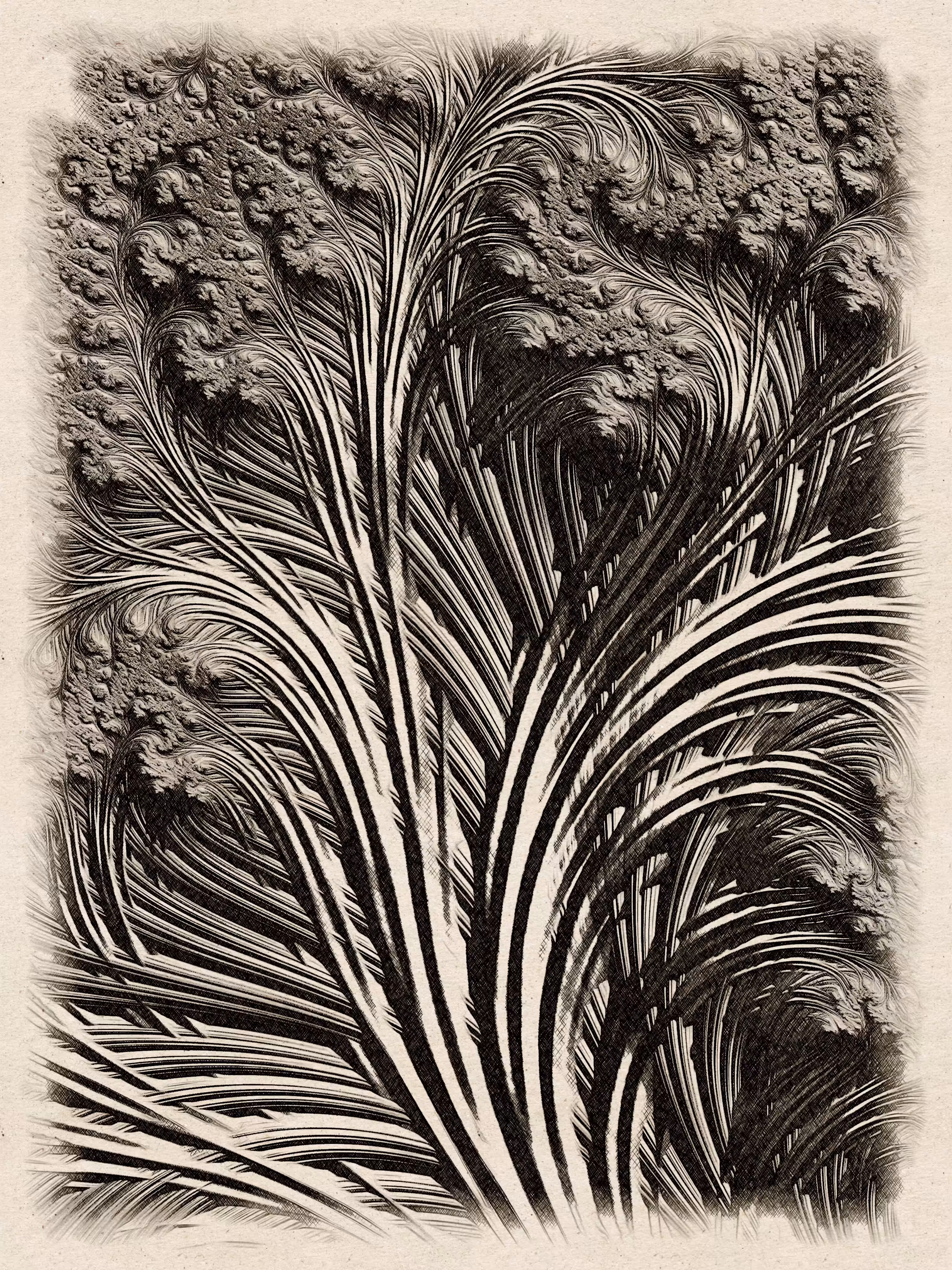 Flowers Sketching - Generative Art