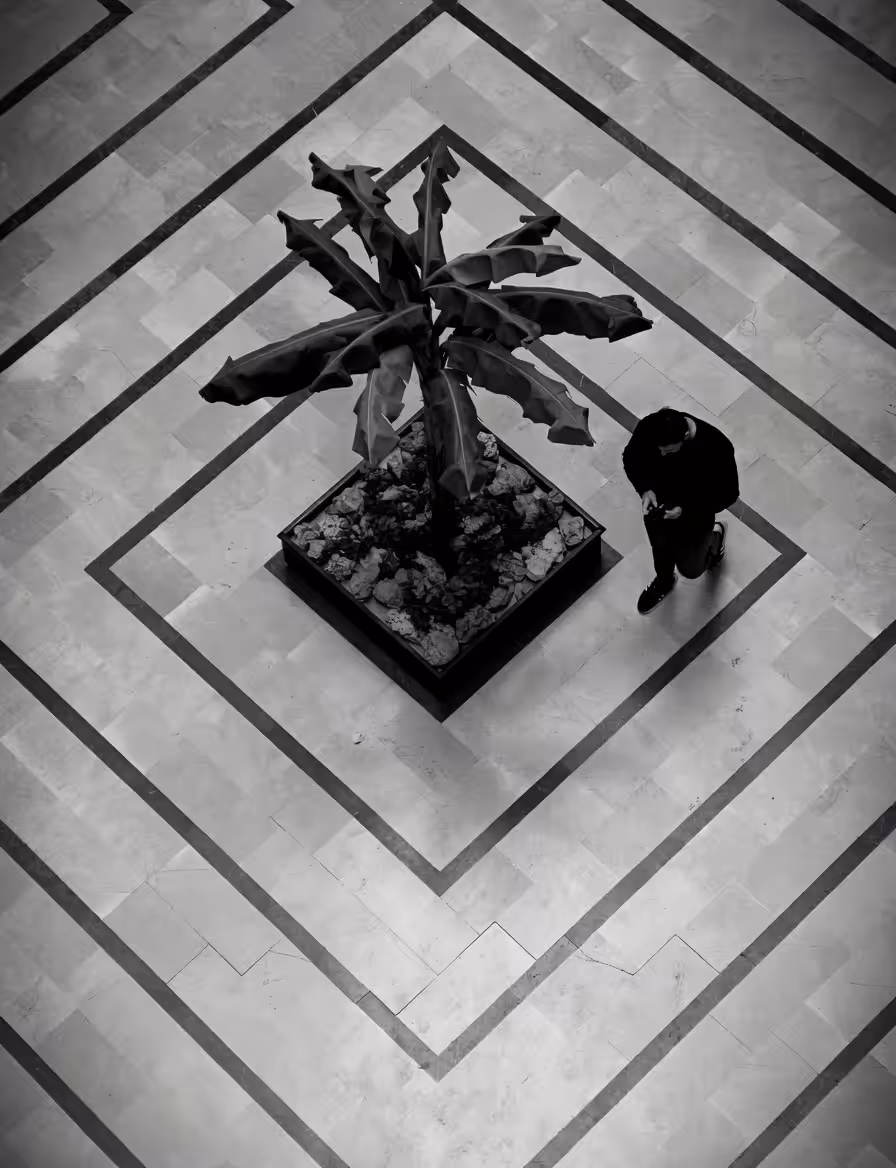 Center of Calm