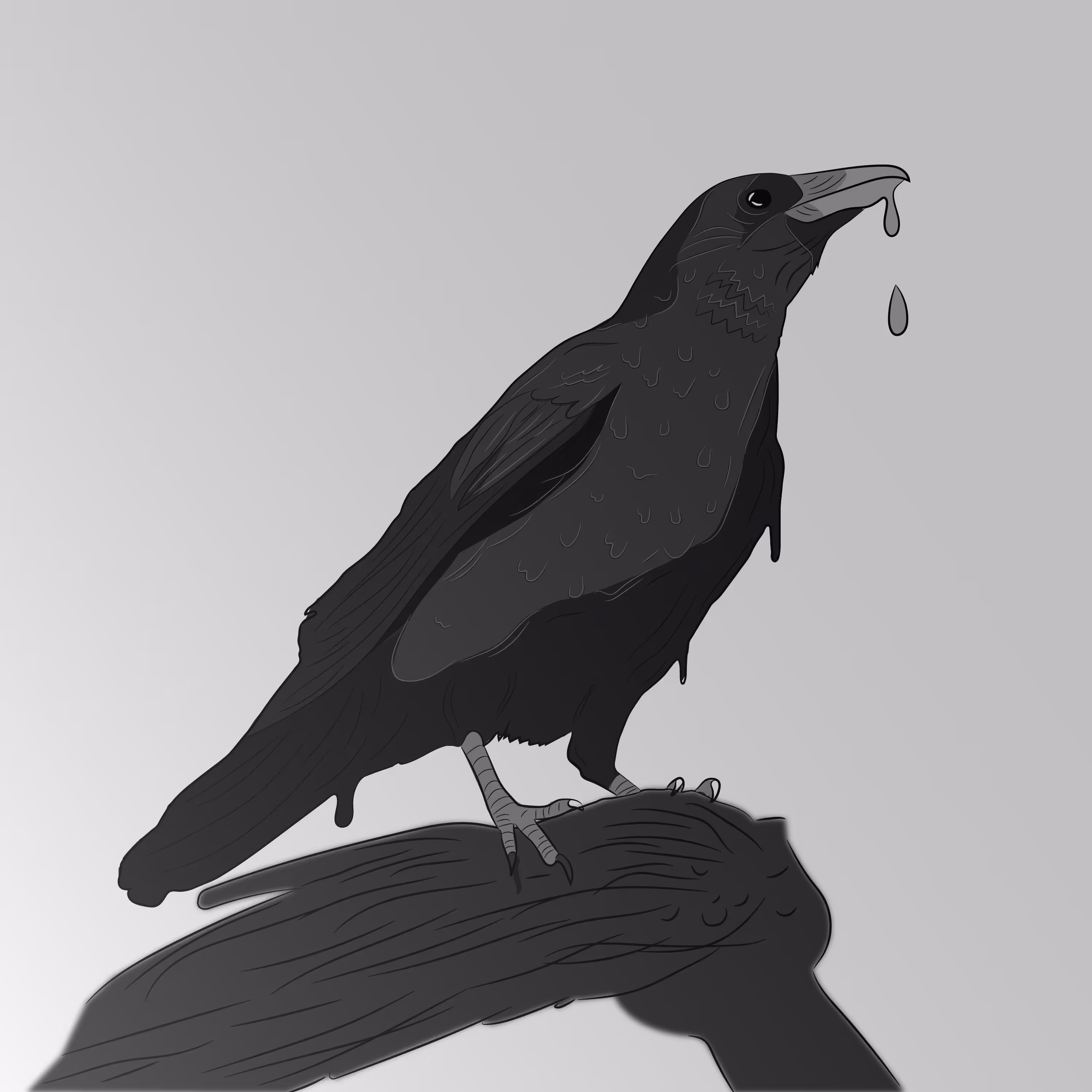 Raven/Corvo
