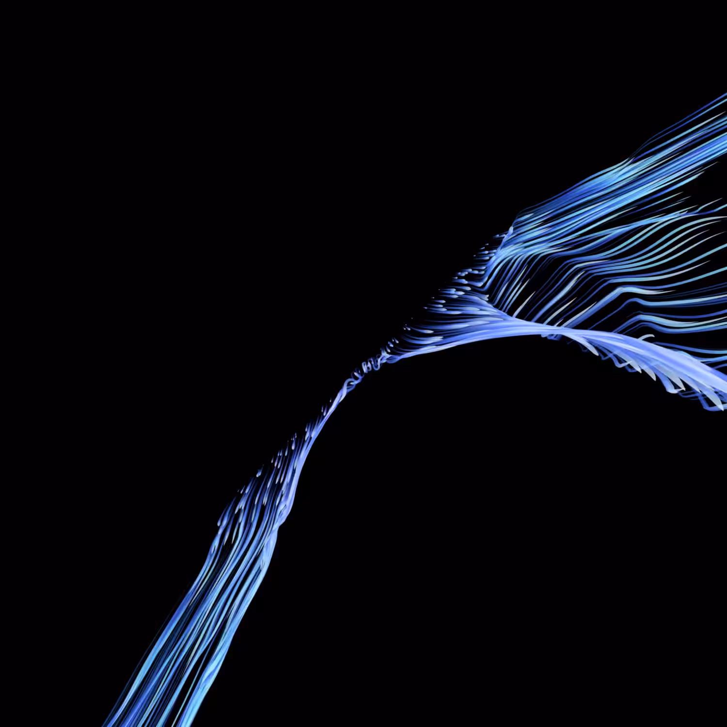 Vortex #1011