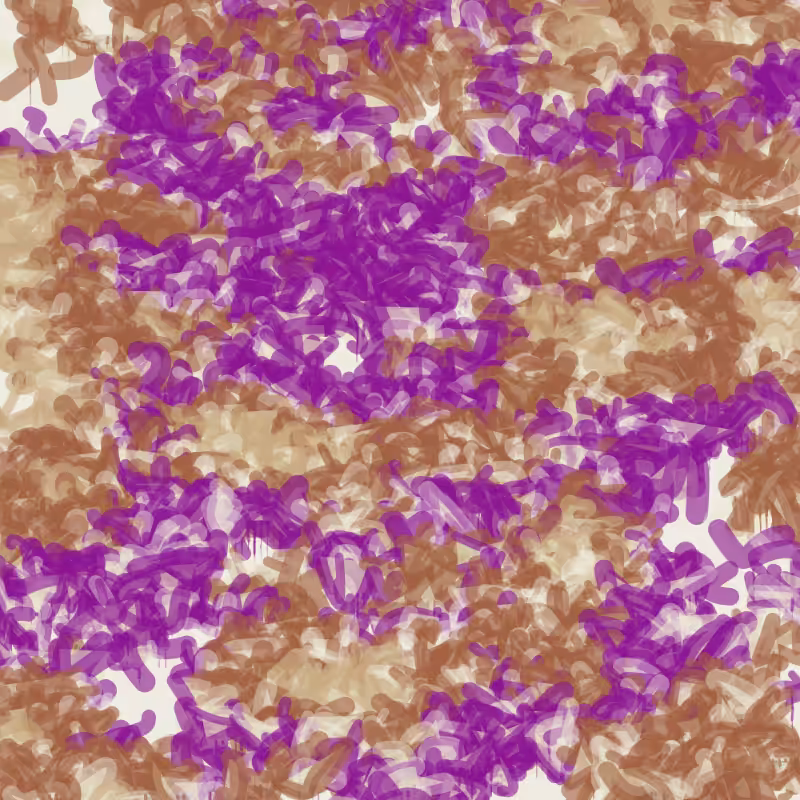Petri 1500 #596
