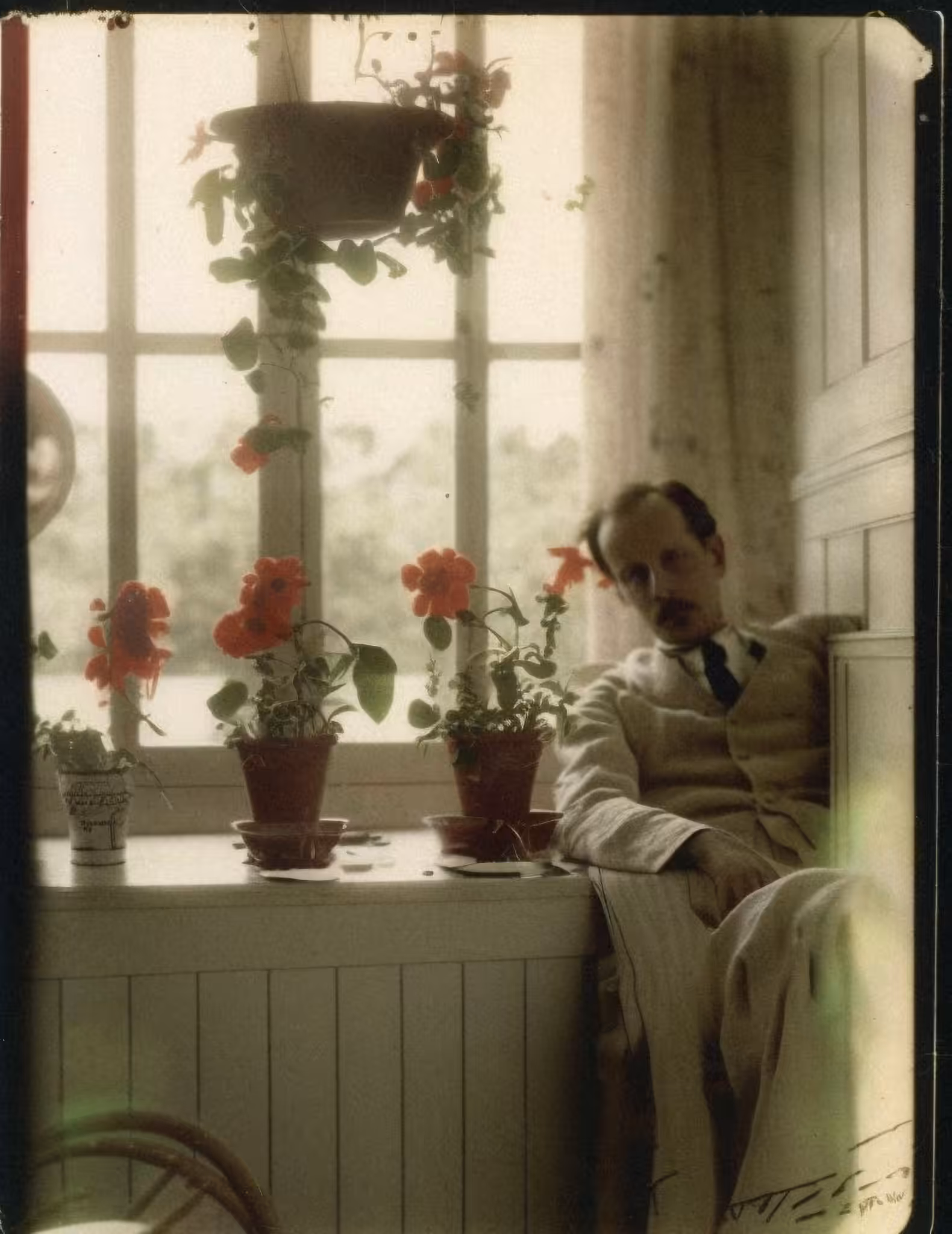 Anenome, Autochrome, 1907