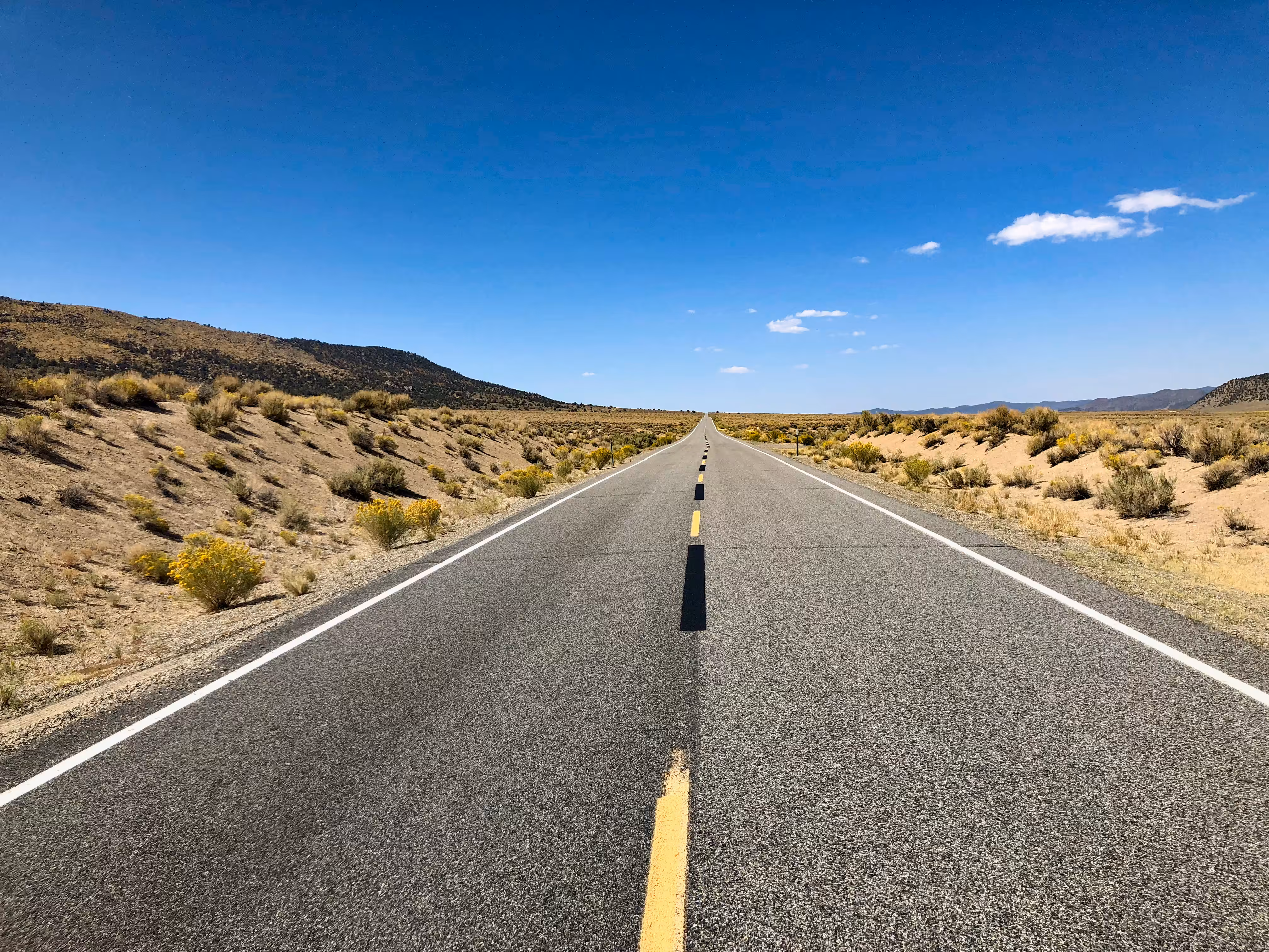 The road of life