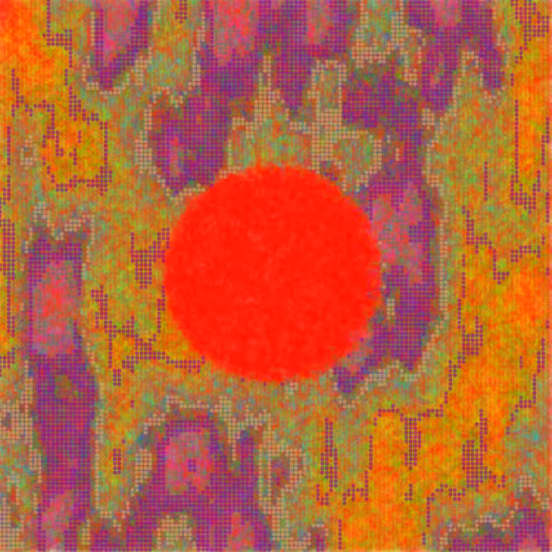 Petri 1500 #1466