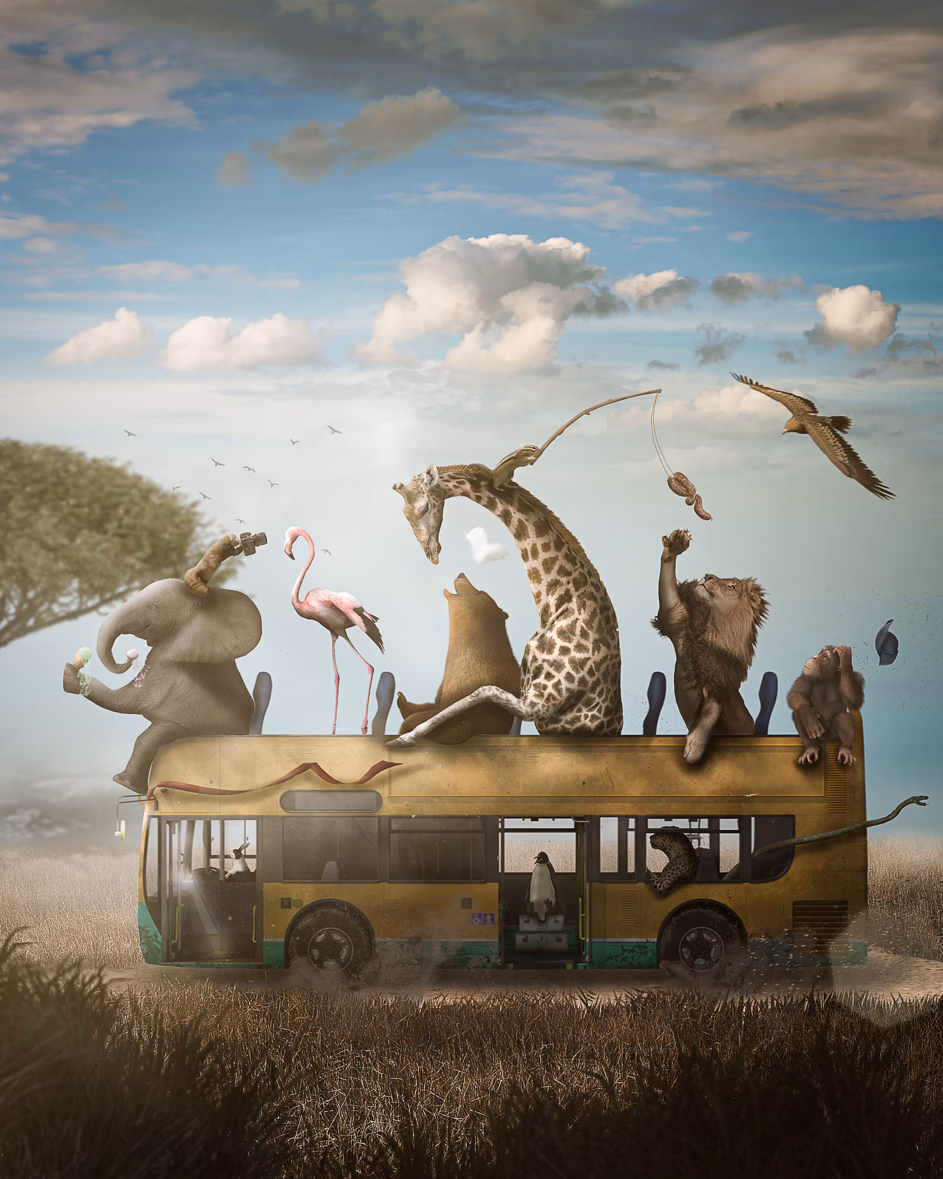 "Safari"