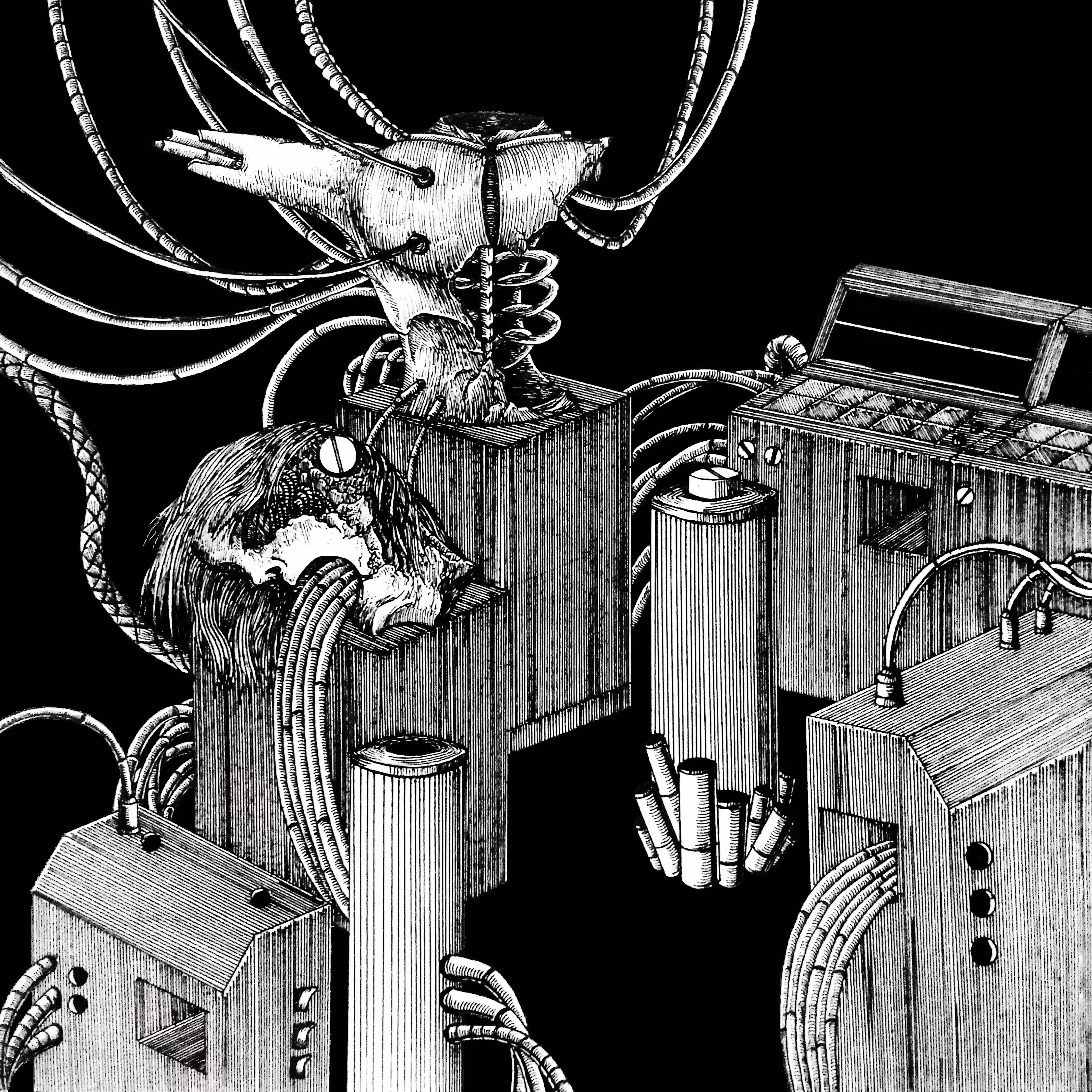 PROJECT DECAY