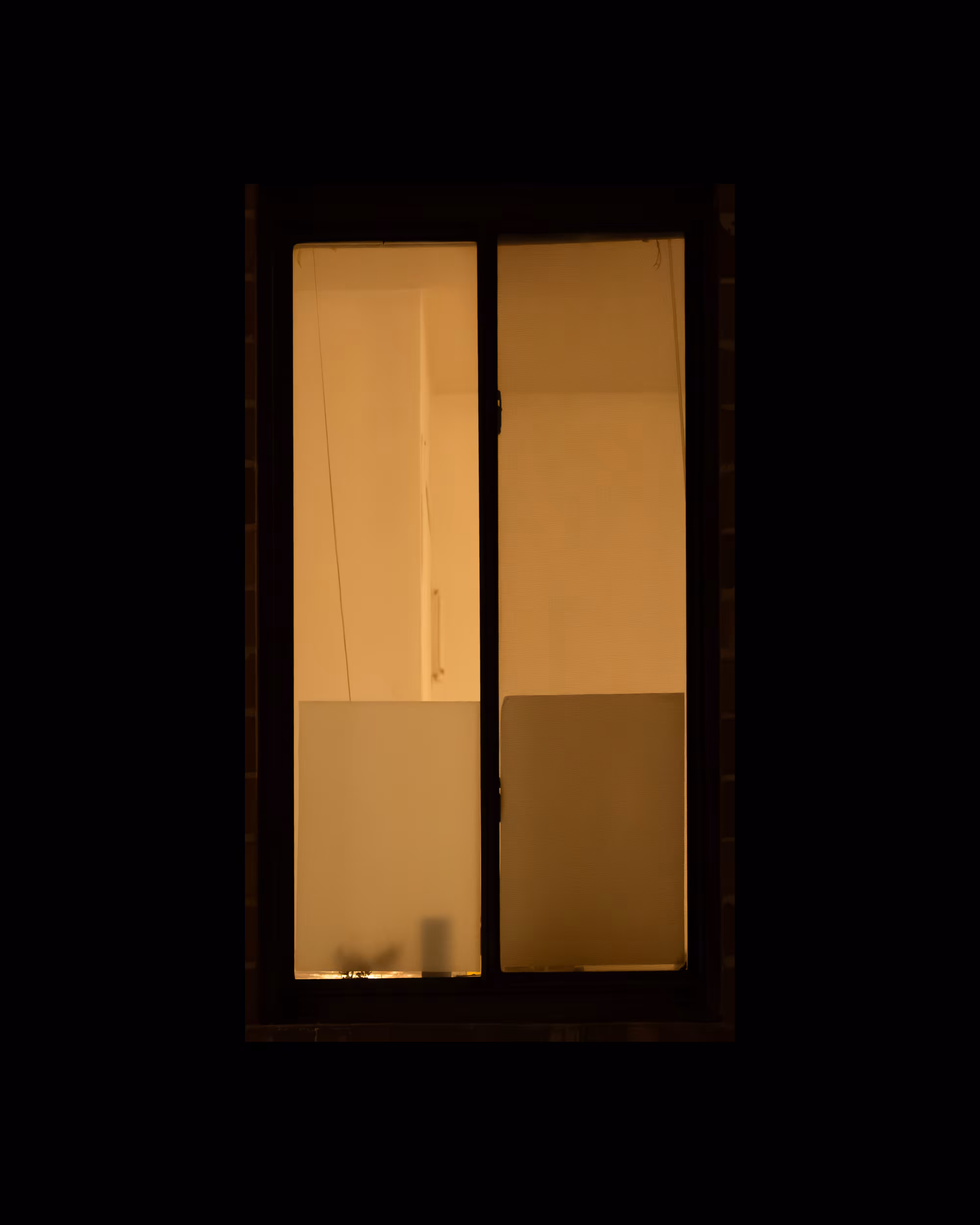 WINDOW 807