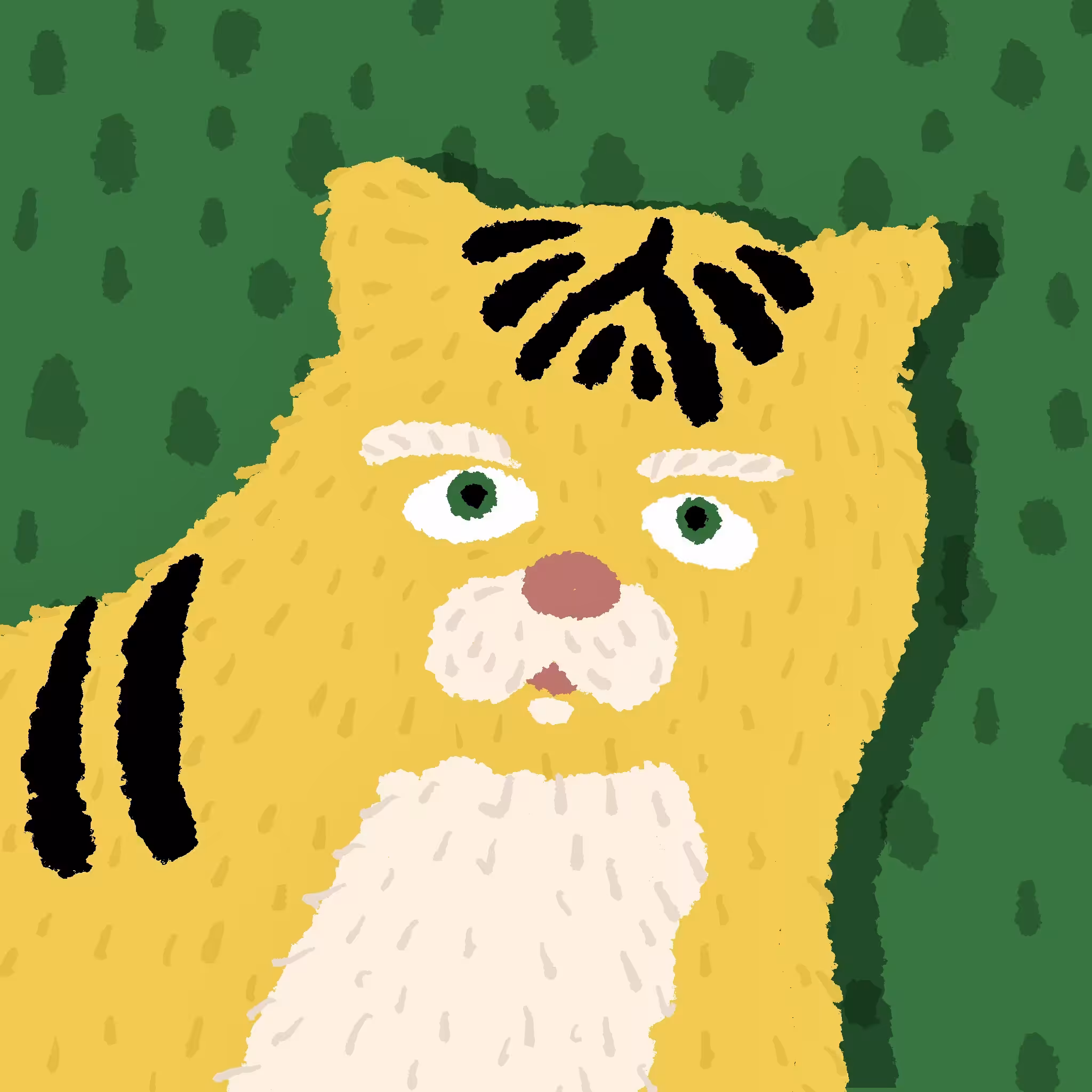 tora