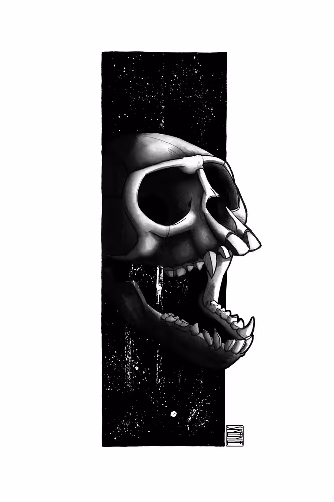 Monkey Skull Study